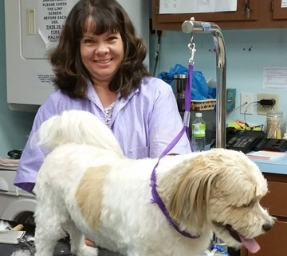 Stephens City Animal Hospital Stephens City