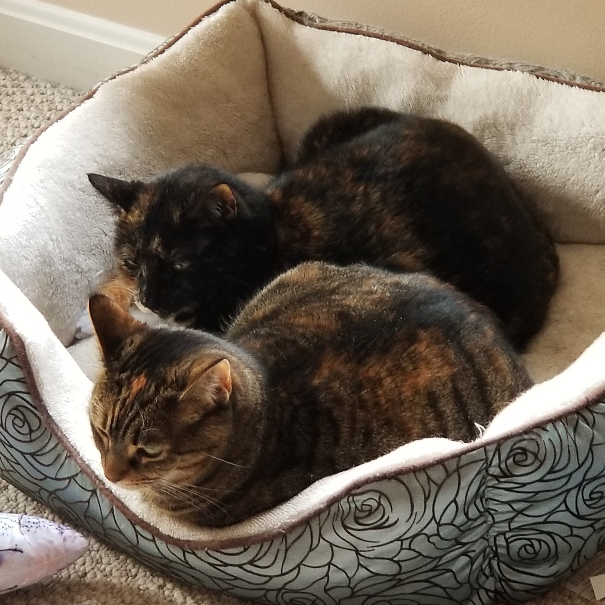 Heritage Animal Hospital Sterling