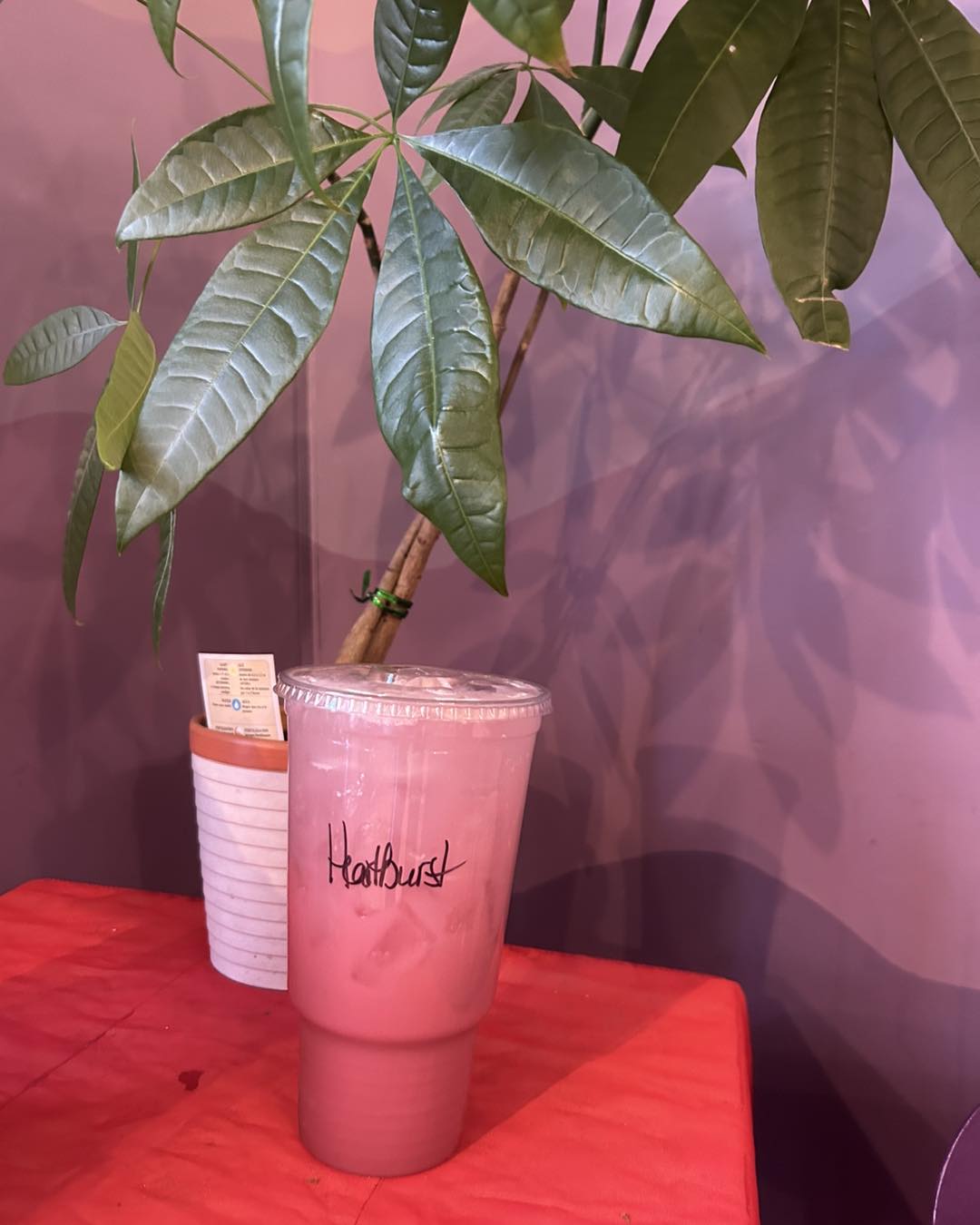 Burg Nutrition Strasburg