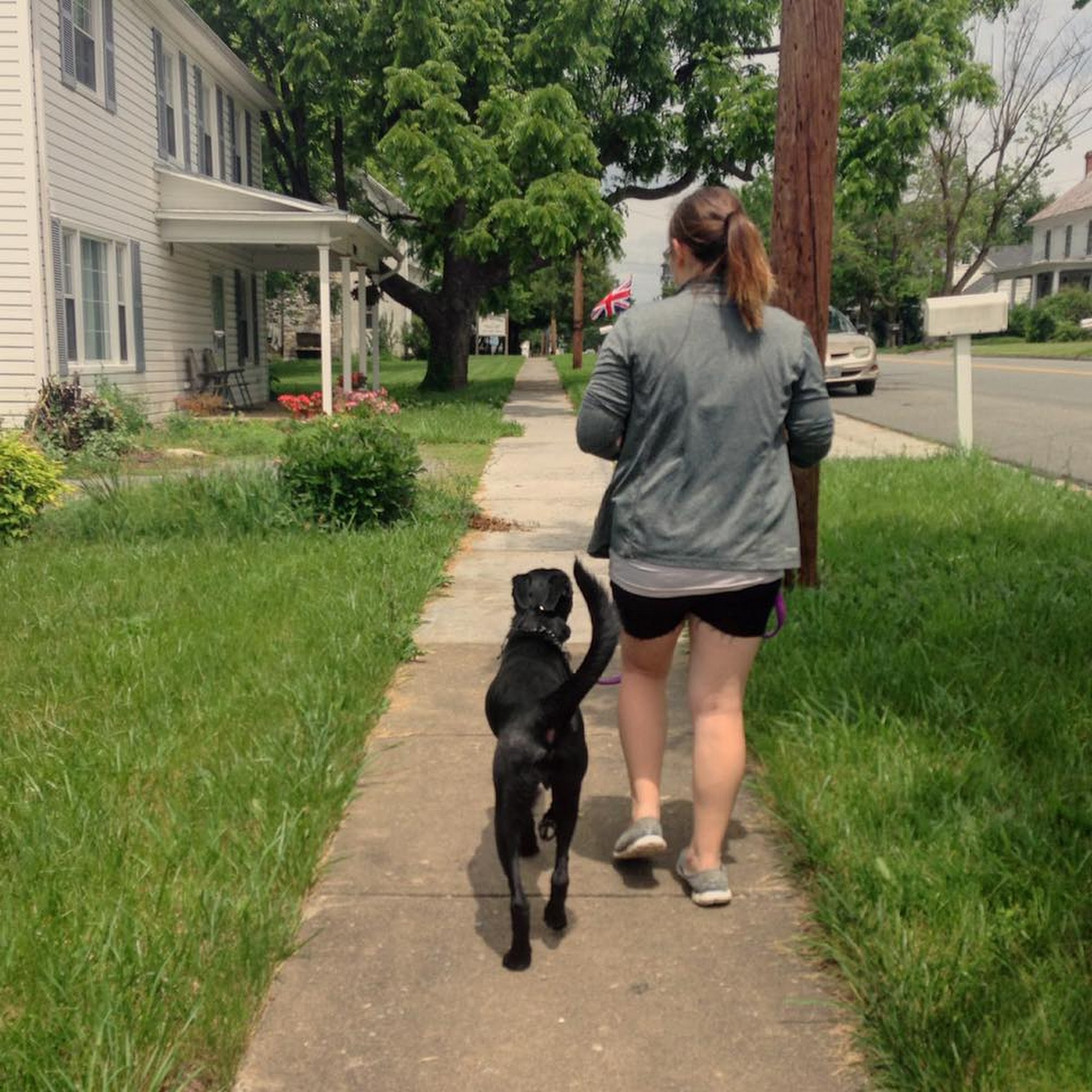Cbowdens Valley Dog School Strasburg