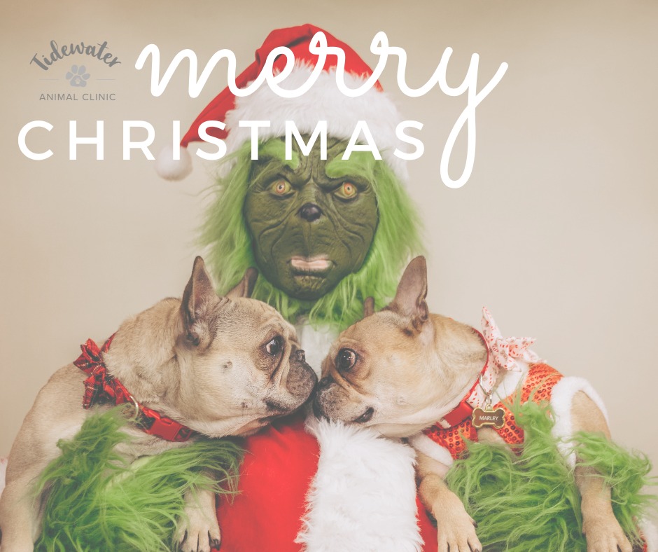 Tidewater Animal Clinic Suffolk