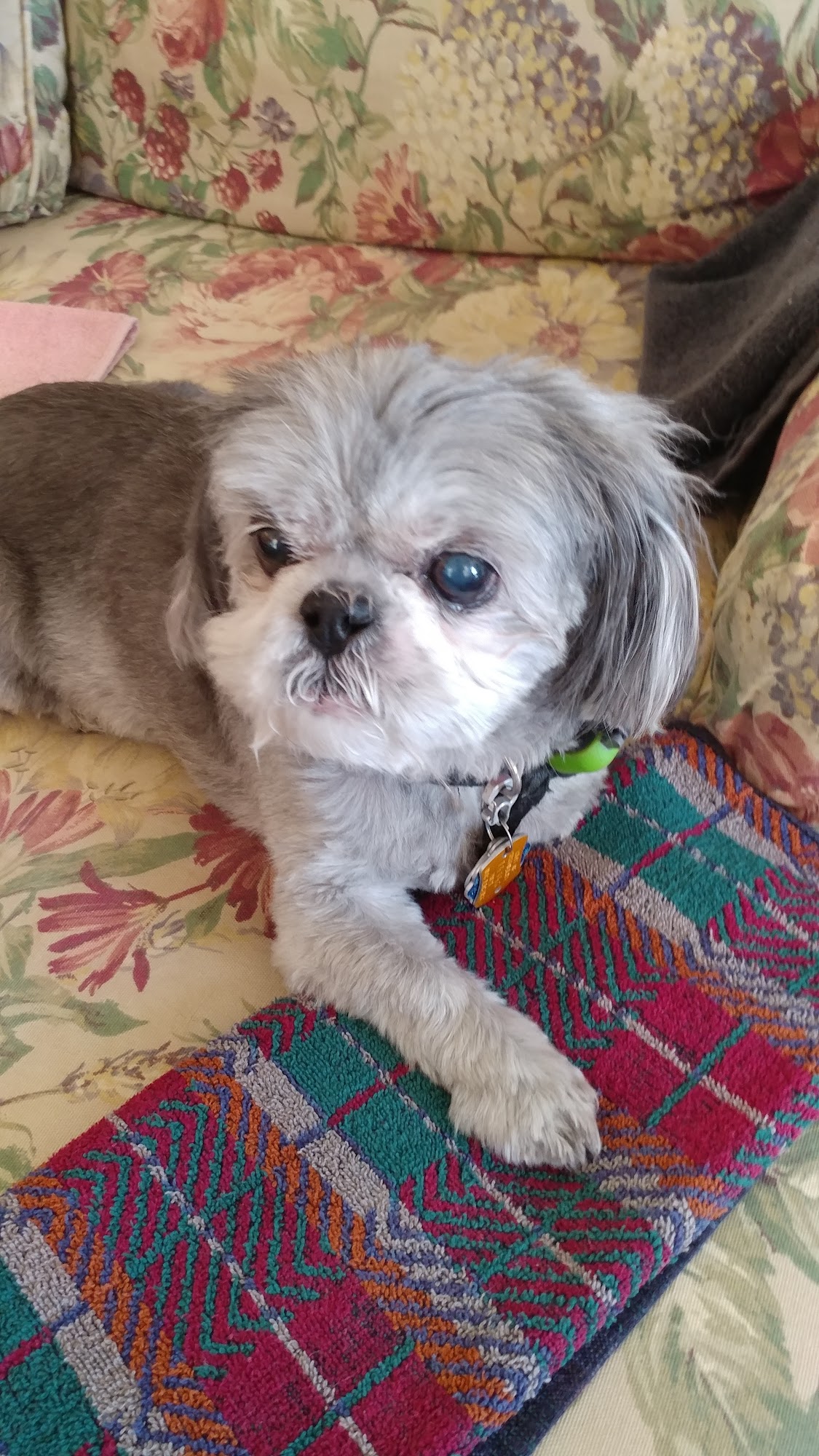 Bennetts Creek's Home Away Suffolk