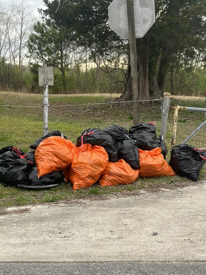 Shearin Chiropractic