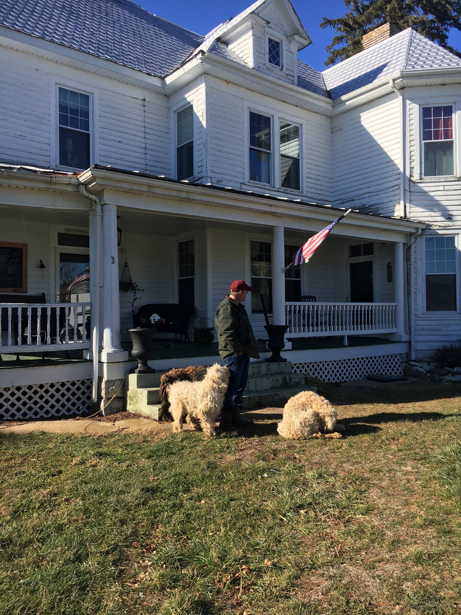 Frank's Home Improvements