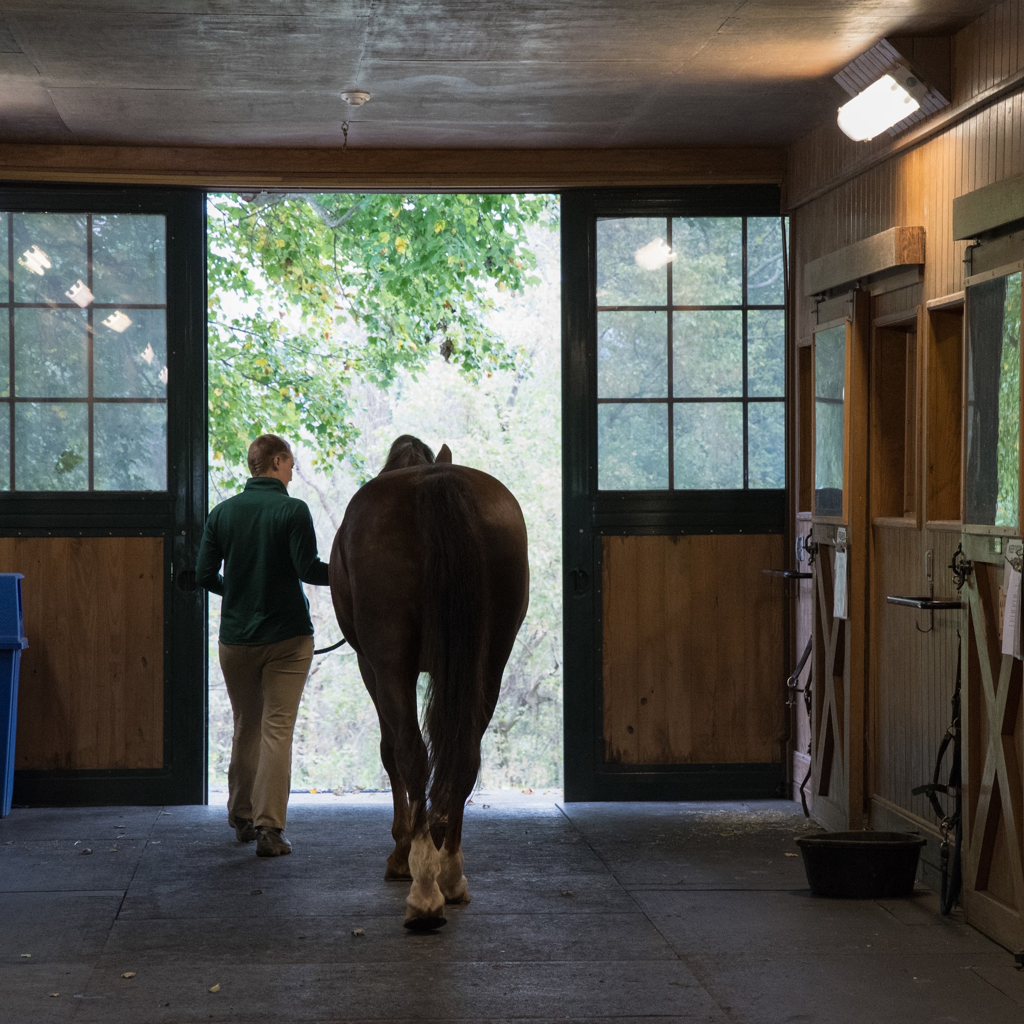Virginia Equine Imaging The Plains