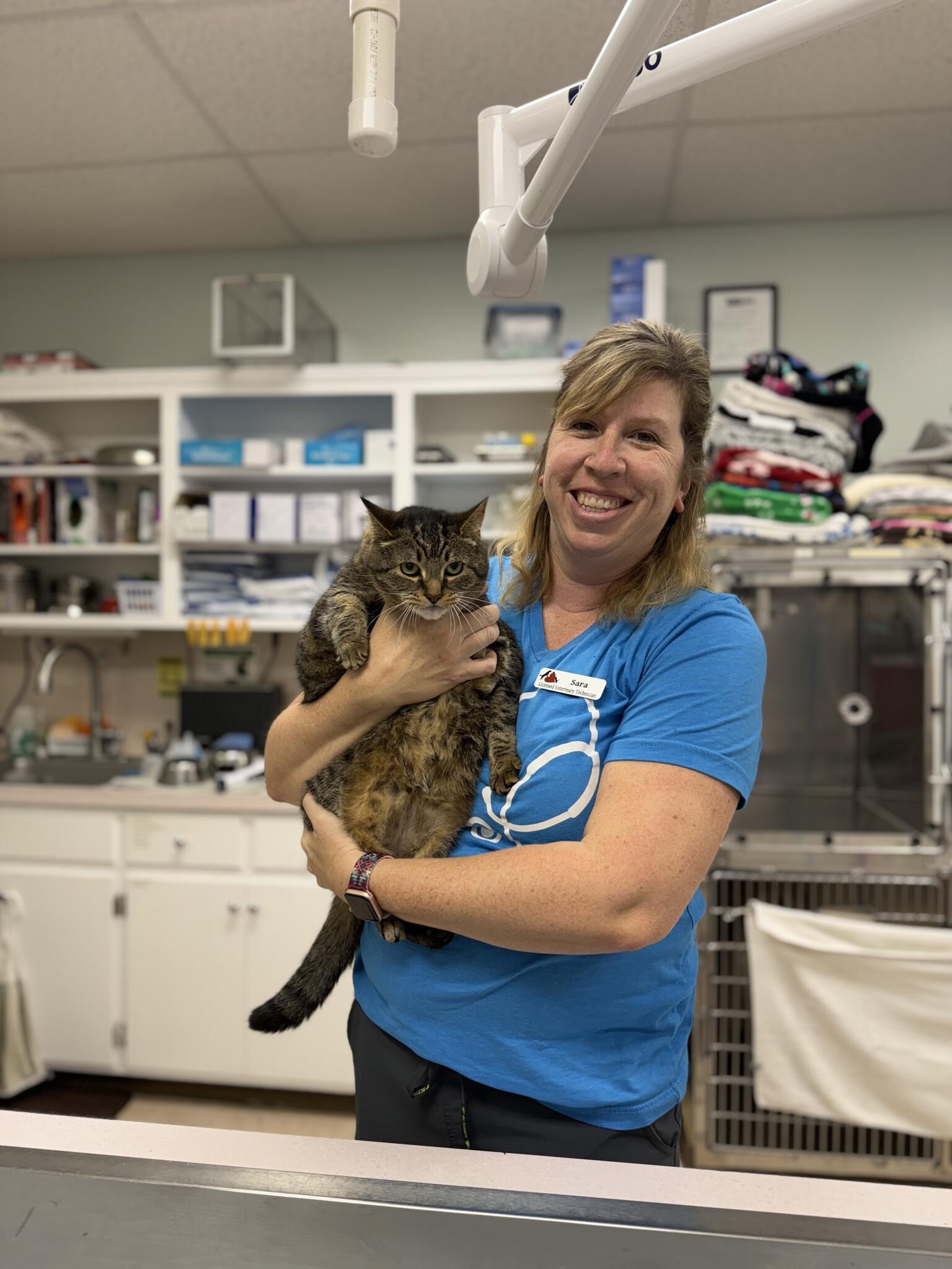 Veterinary Emergency Services Verona