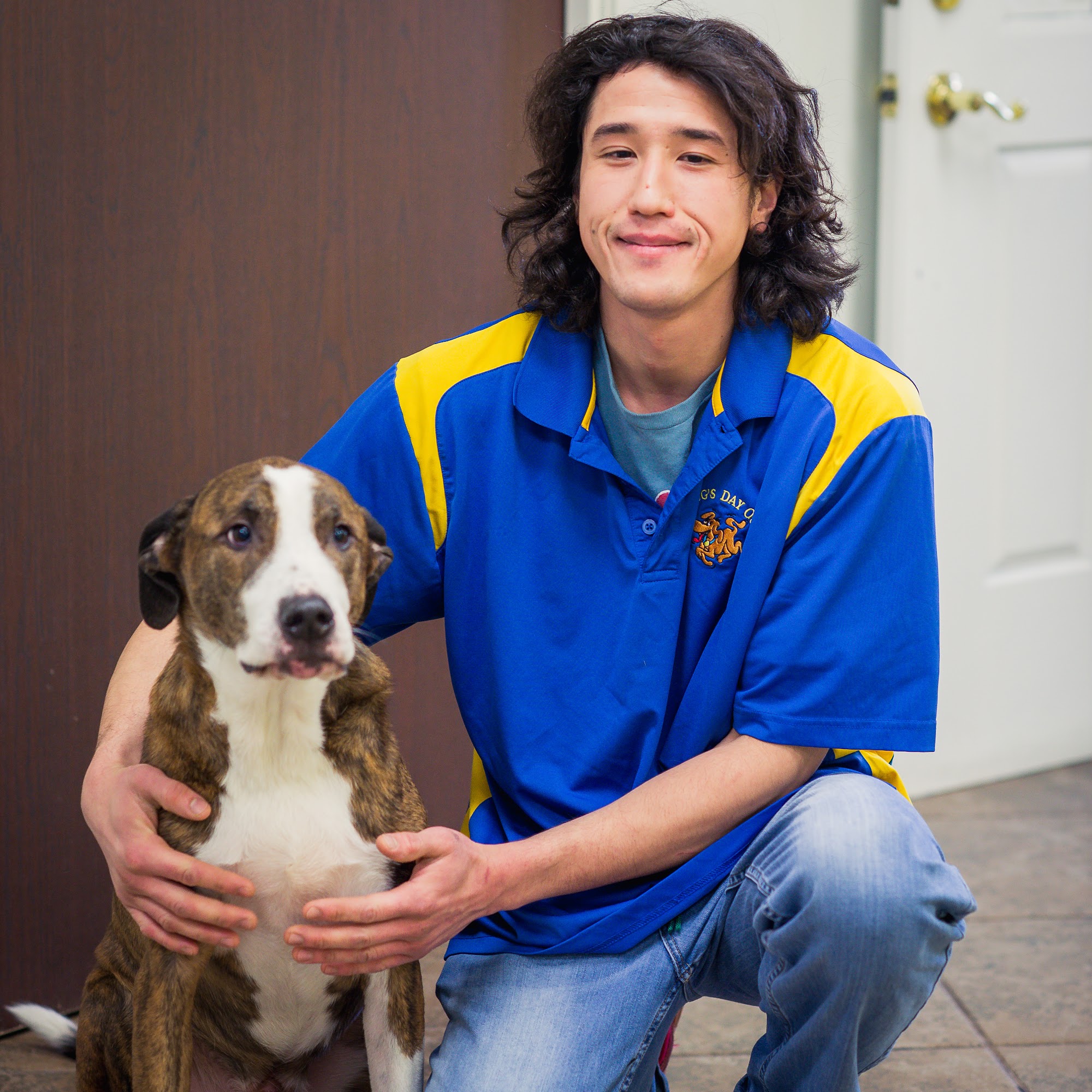 A Dog's Day Out Vienna