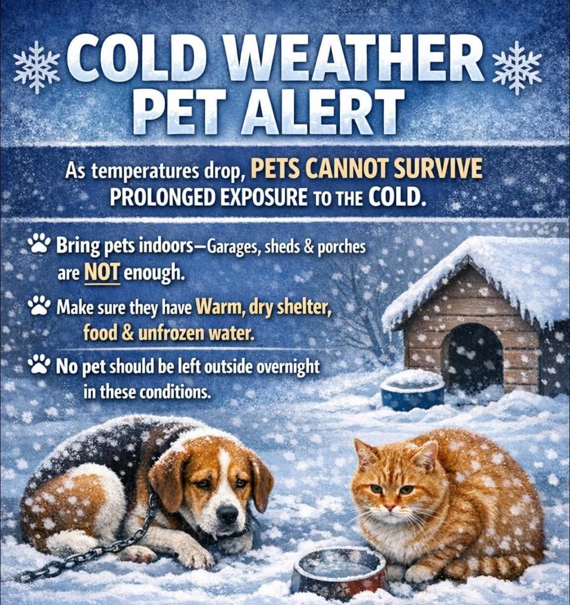 Papaw's Pet Paradise, Inc. Vinton