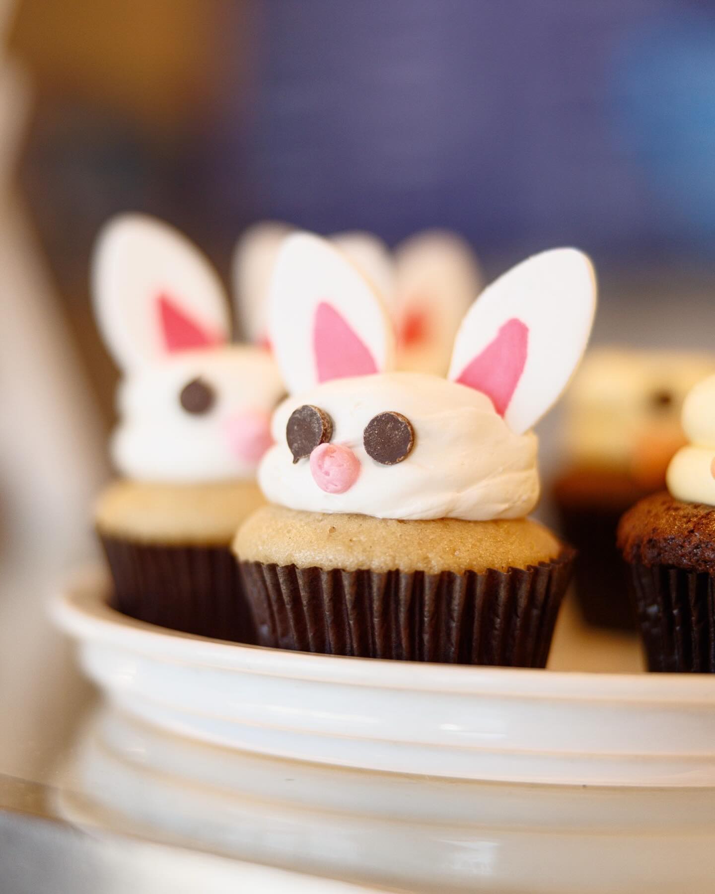 My Vegan Sweet Tooth Virginia Beach