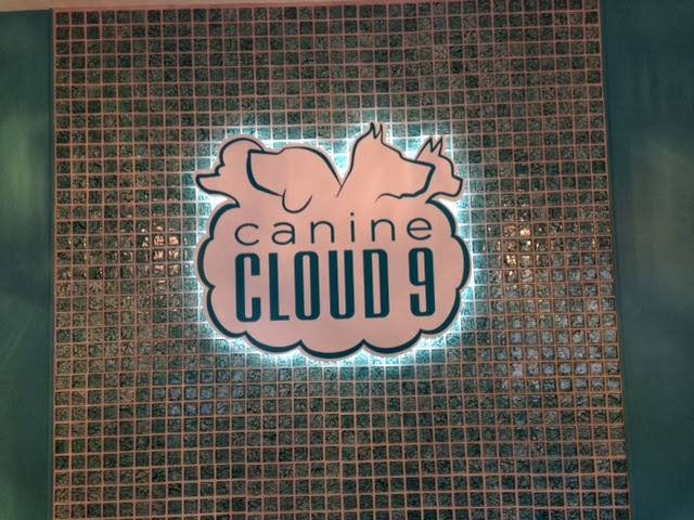 Canine Cloud 9 Virginia Beach