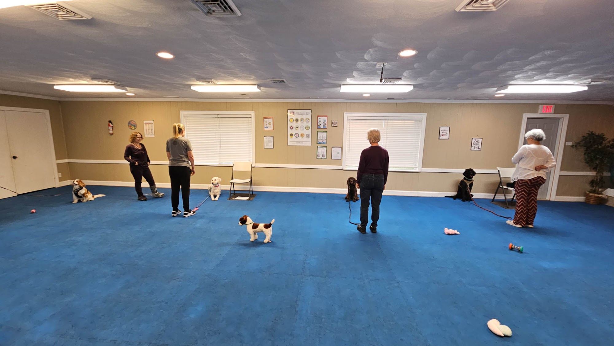 Hampton Roads Dog Obedience Training Club Virginia Beach