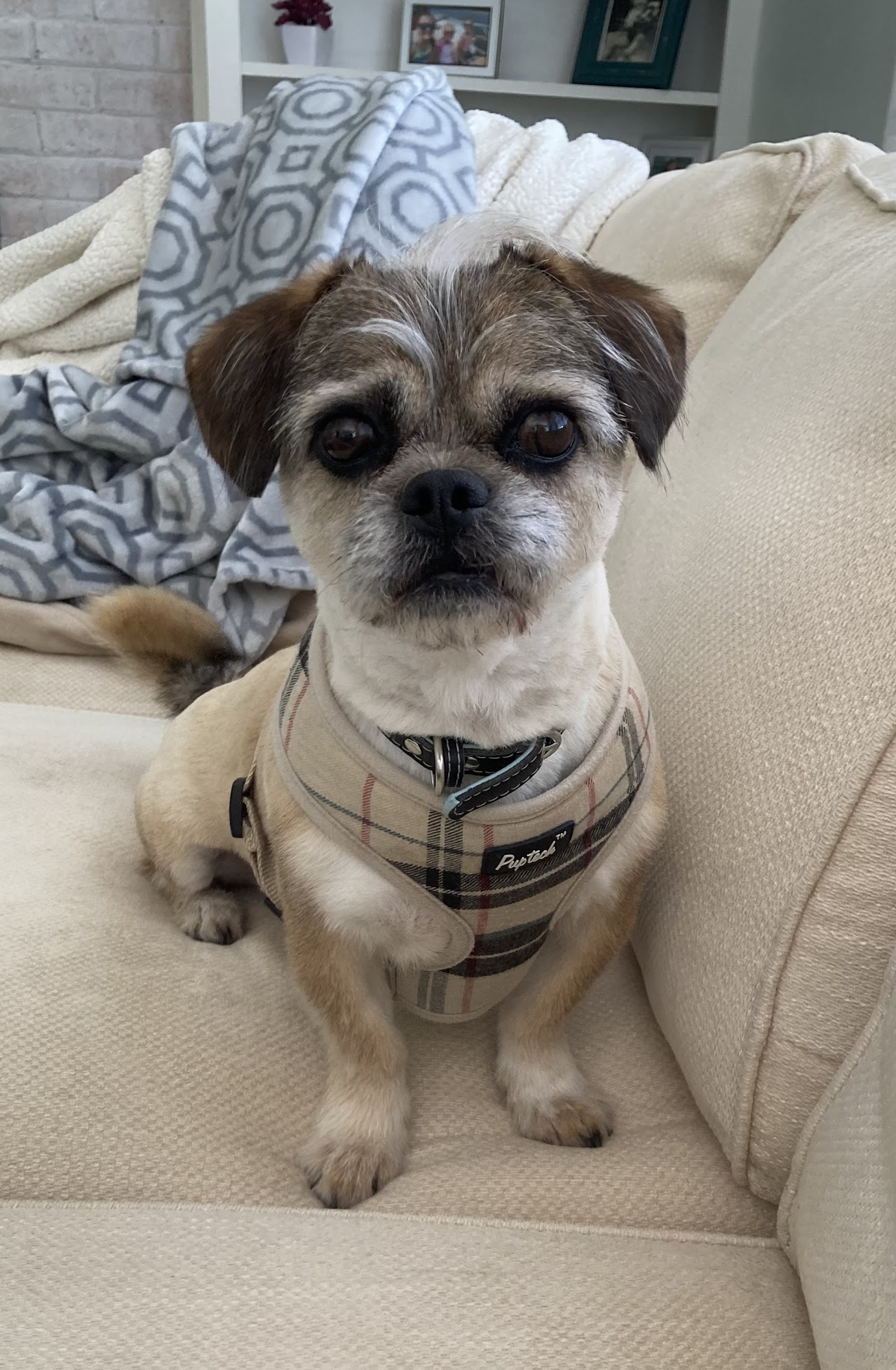 Freak On A Leash Dog Training Virginia Beach