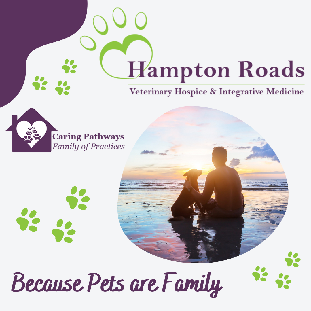 Hampton Roads Veterinary Hospice Virginia Beach