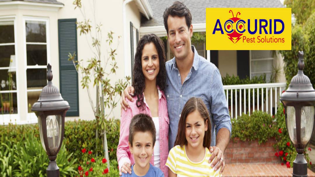 Accurid Pest Solutions Inc. - Virginia Beach