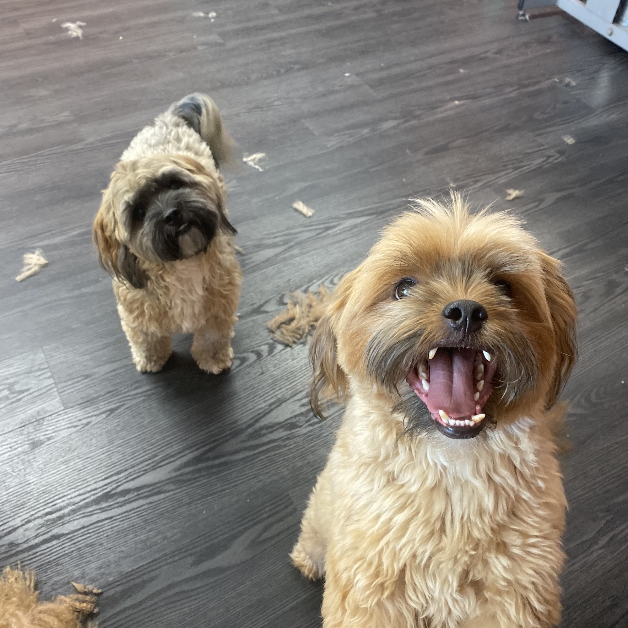 The CosmoPawlitan Virginia Beach