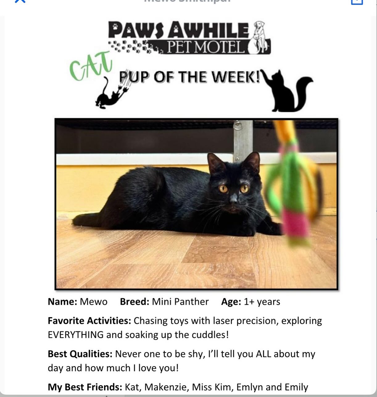 Paws Awhile Pet Motel Warrenton