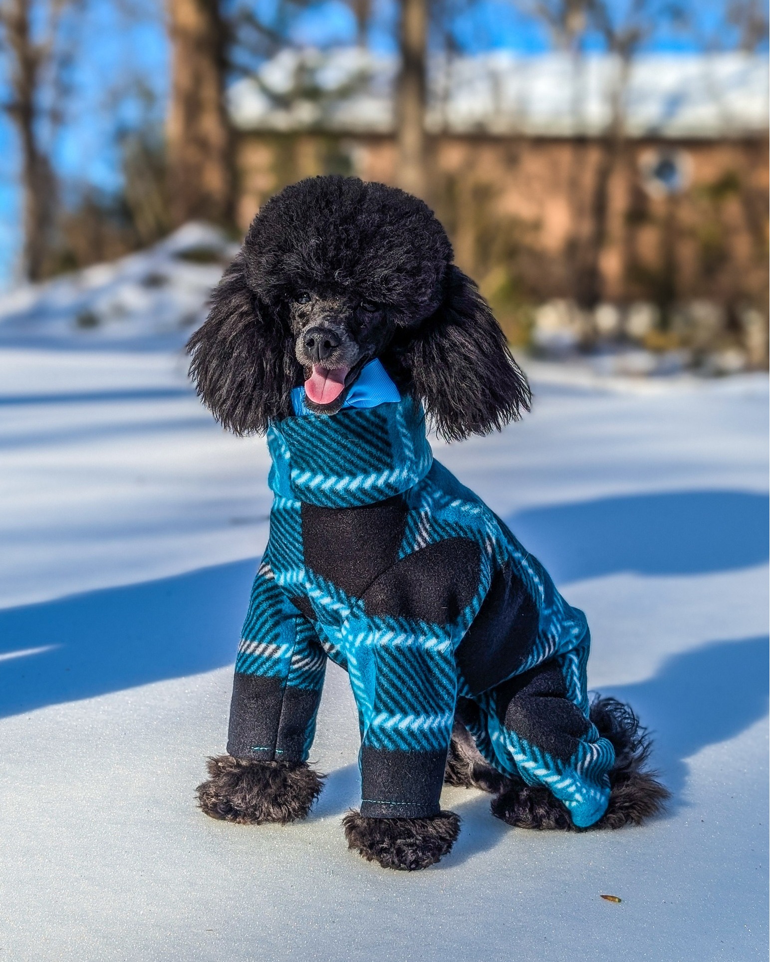 Zorgers Pet Care, LLC Warrenton