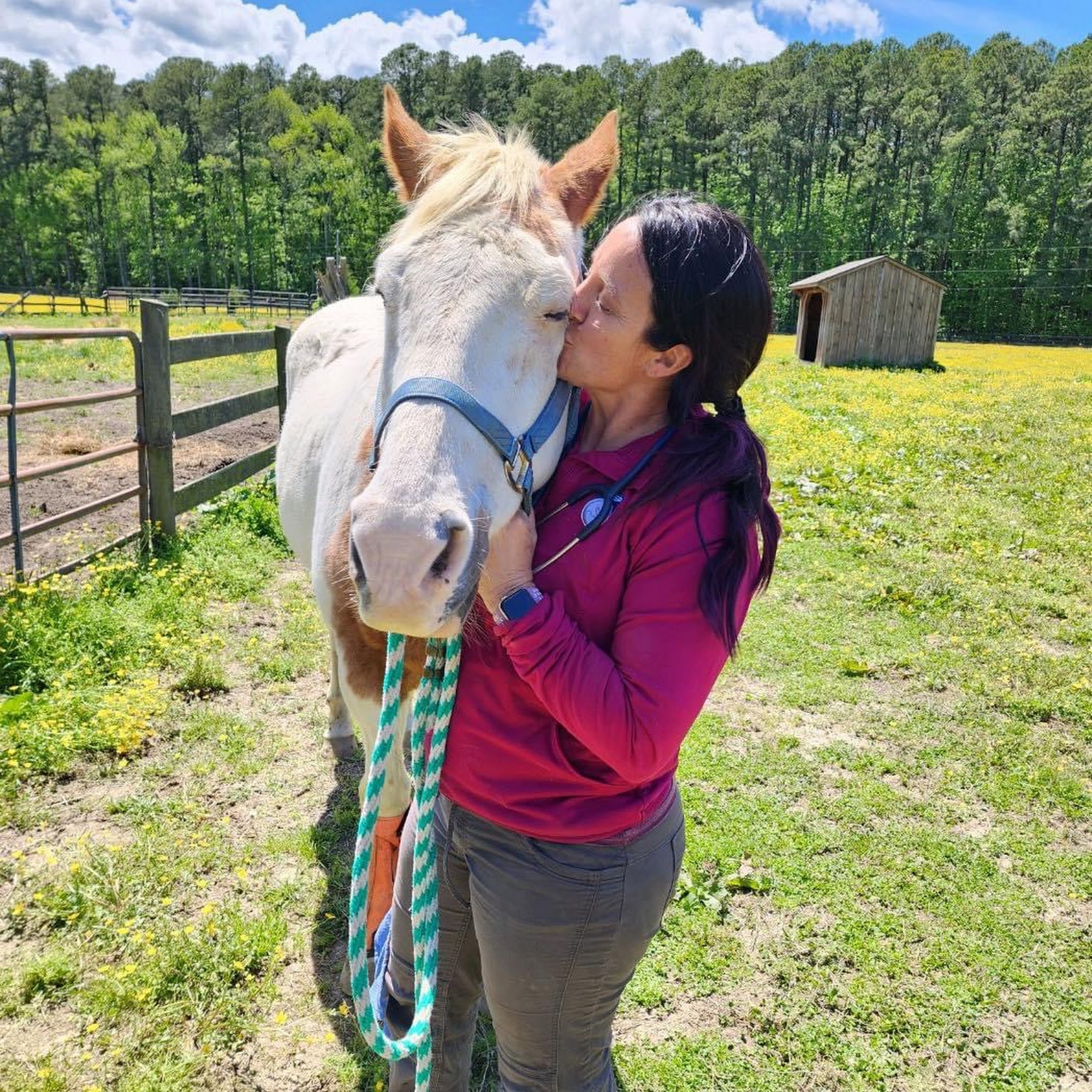 Dover Equine Veterinary Warsaw