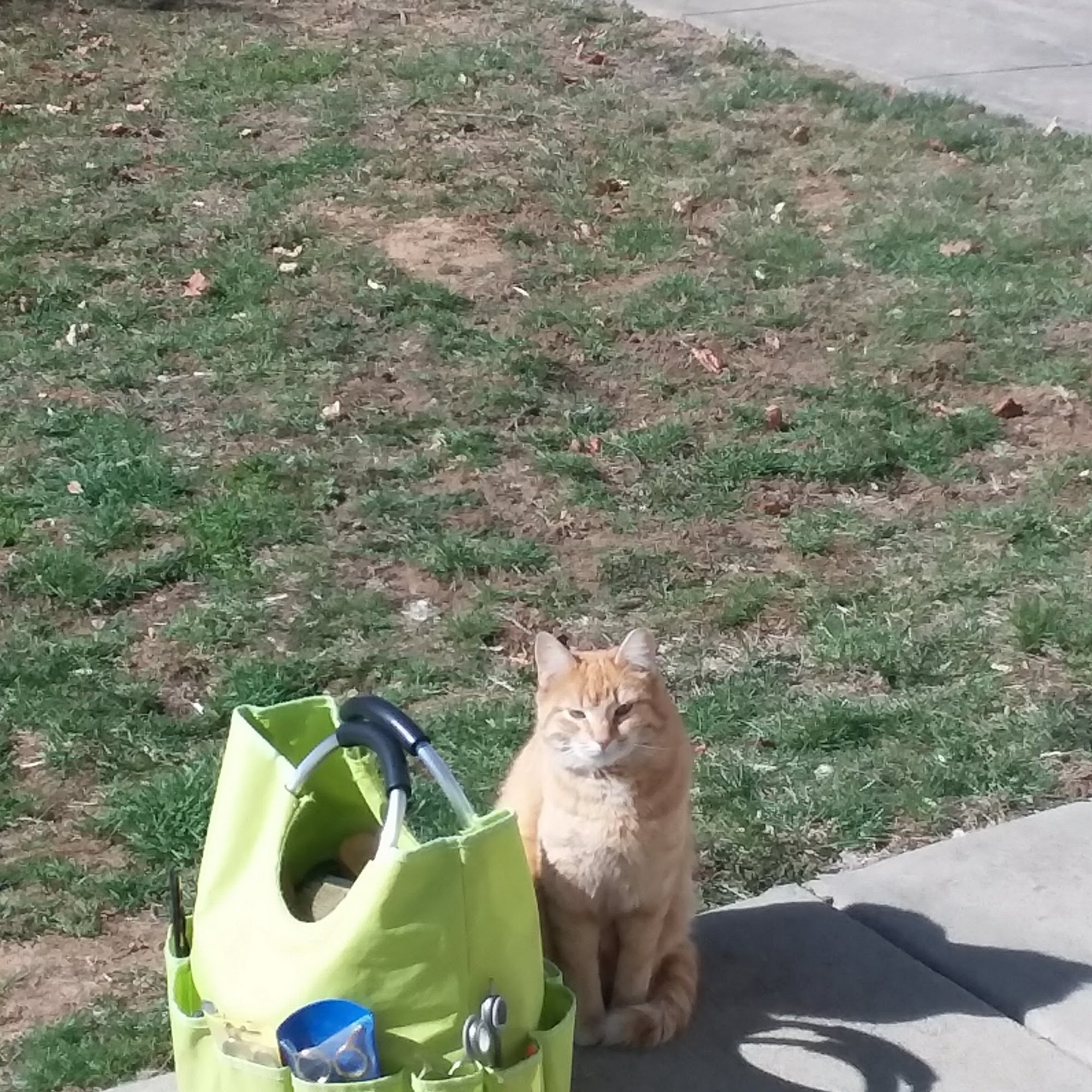 Bark N Style Waynesboro