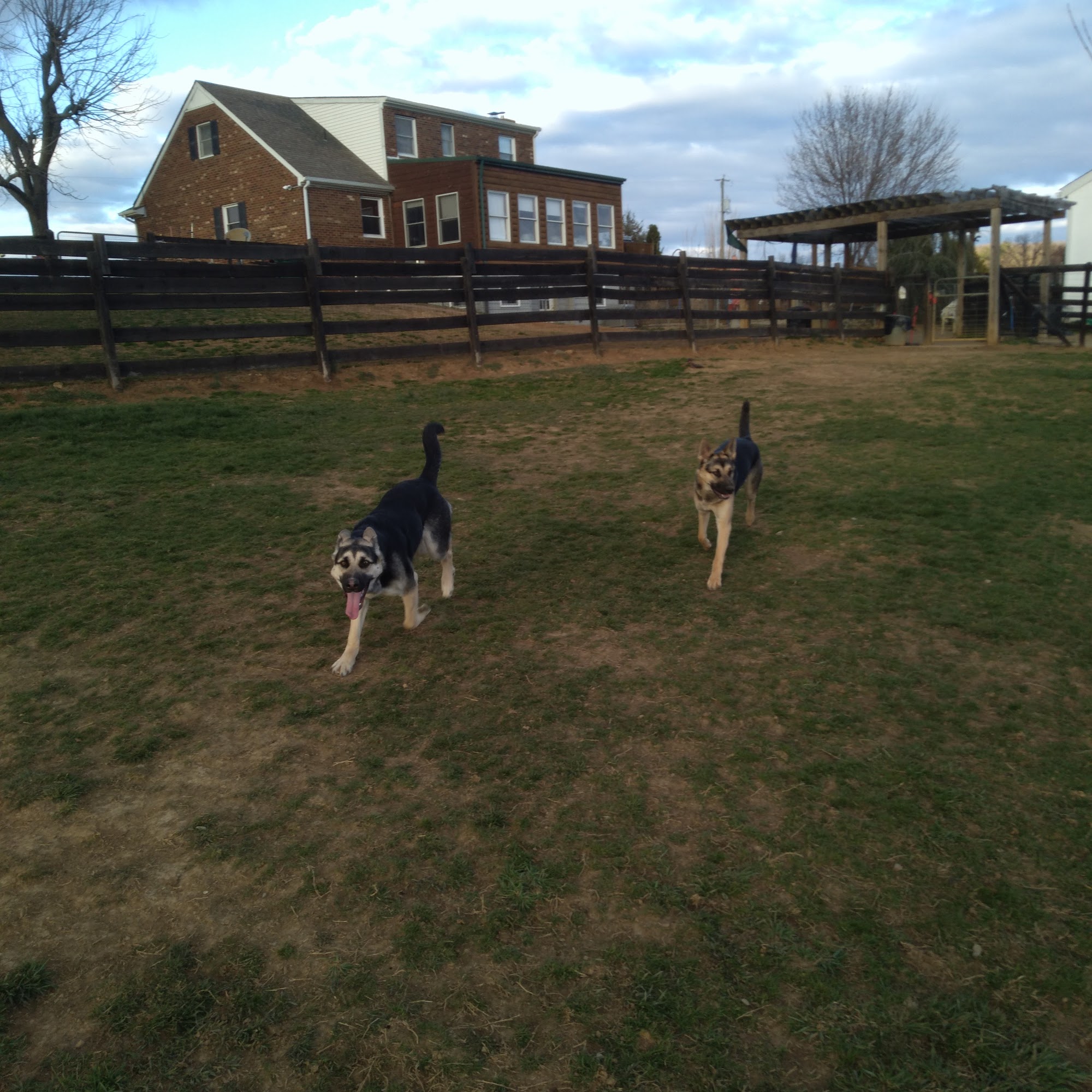 Home Away From Home Dog Boarding Waynesboro