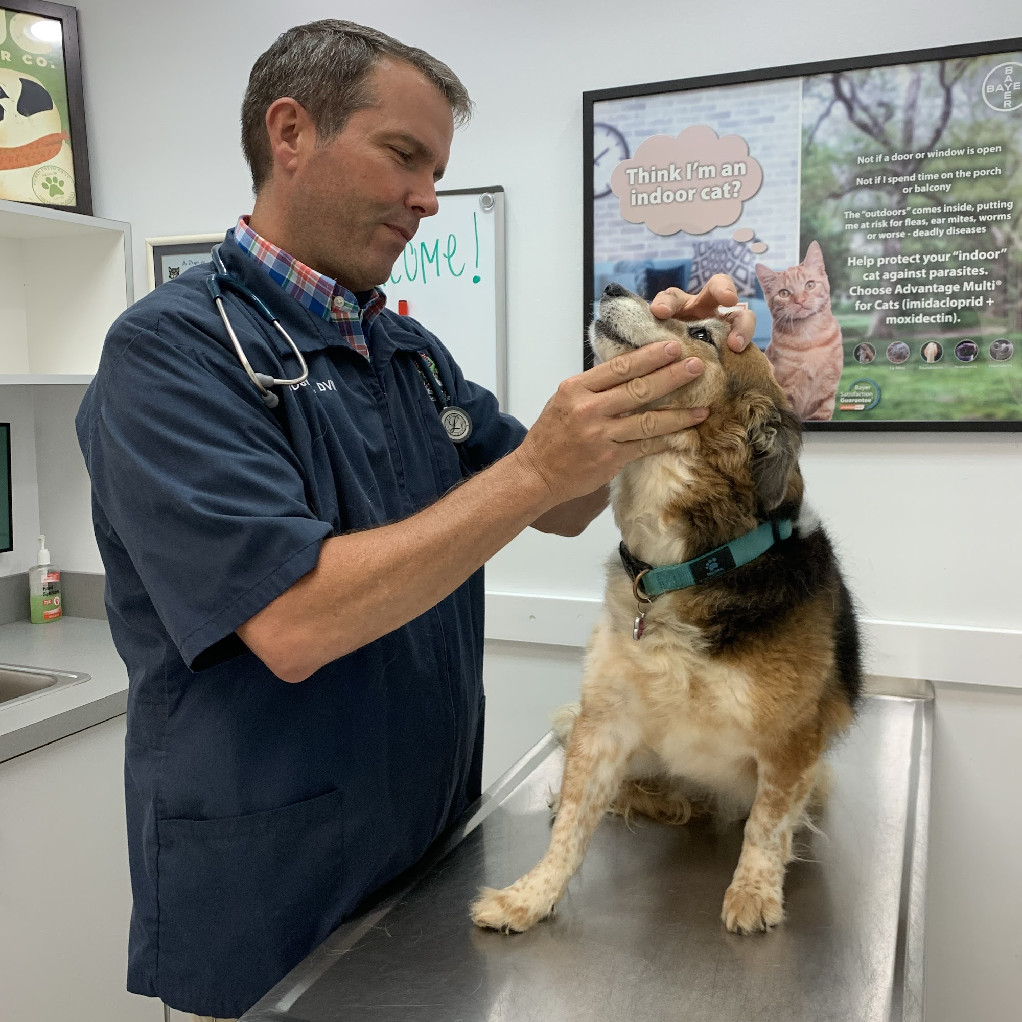 Williamsburg Veterinary Clinic Williamsburg