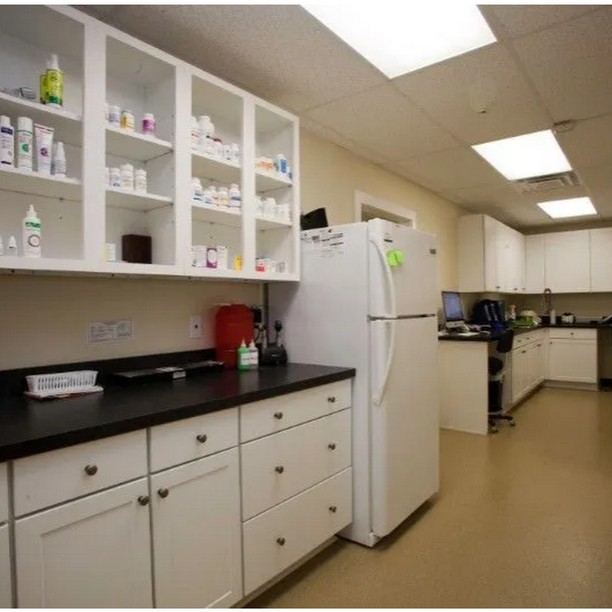 Middle Plantation Animal Hospital Williamsburg