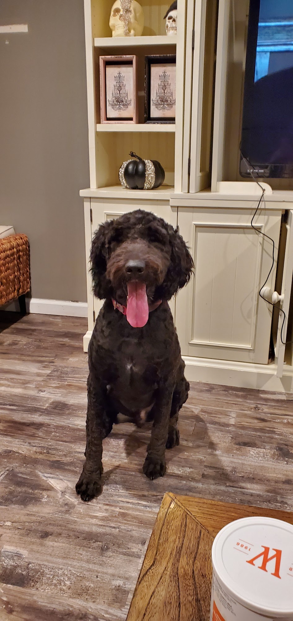 Clip-It-Up Williamsburg