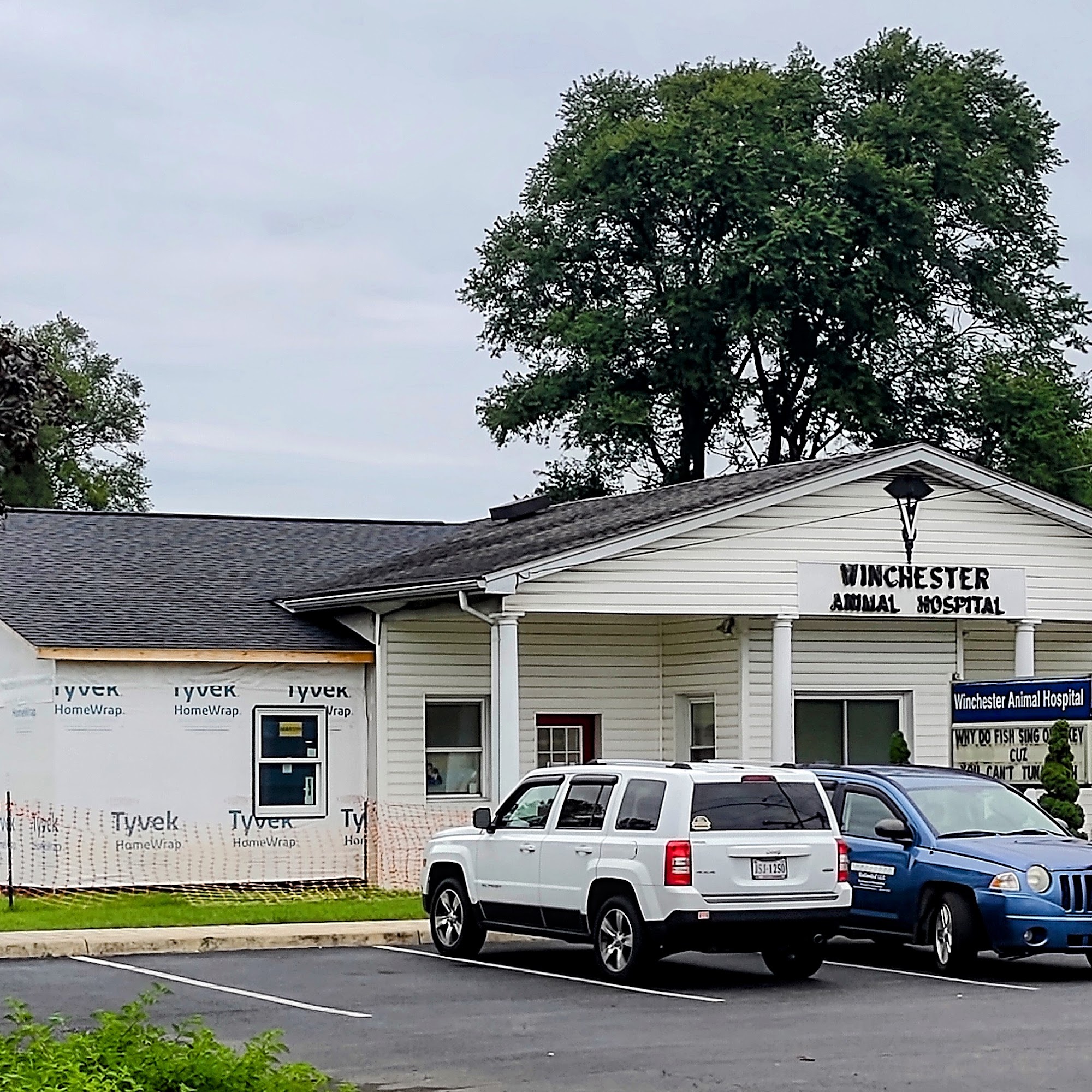 Winchester Animal Hospital Winchester