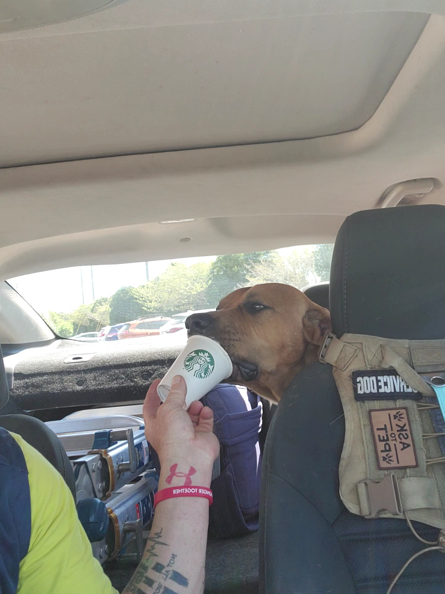 Starbucks Coffee Menu