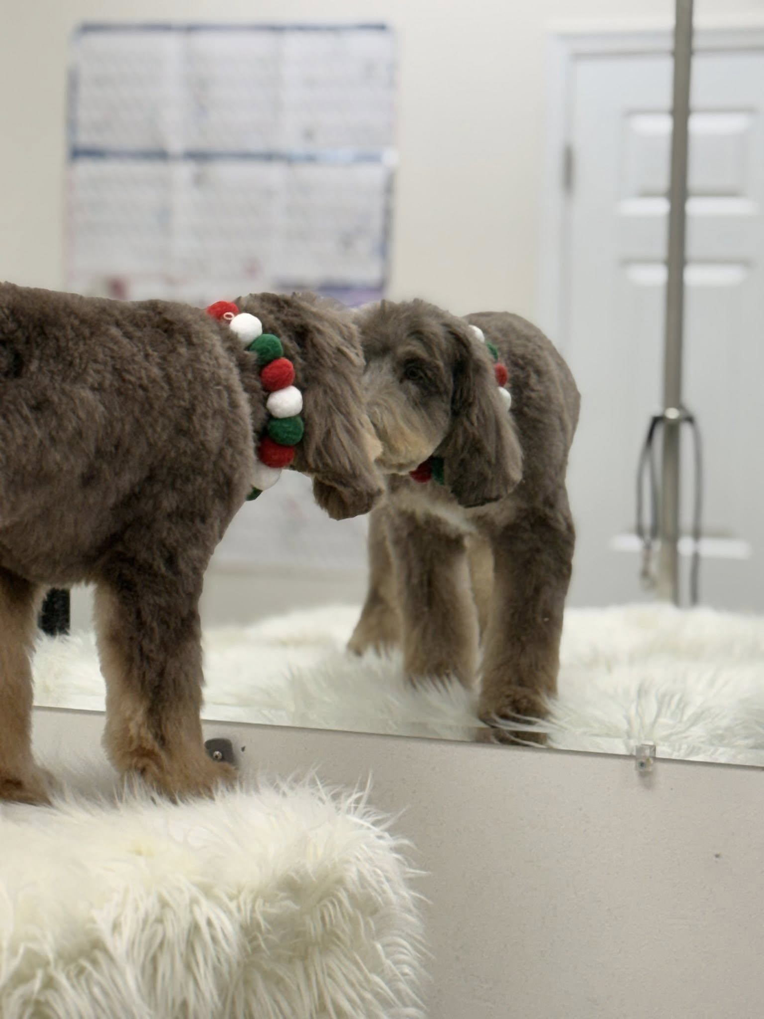 At Your Bark'n Call Winchester