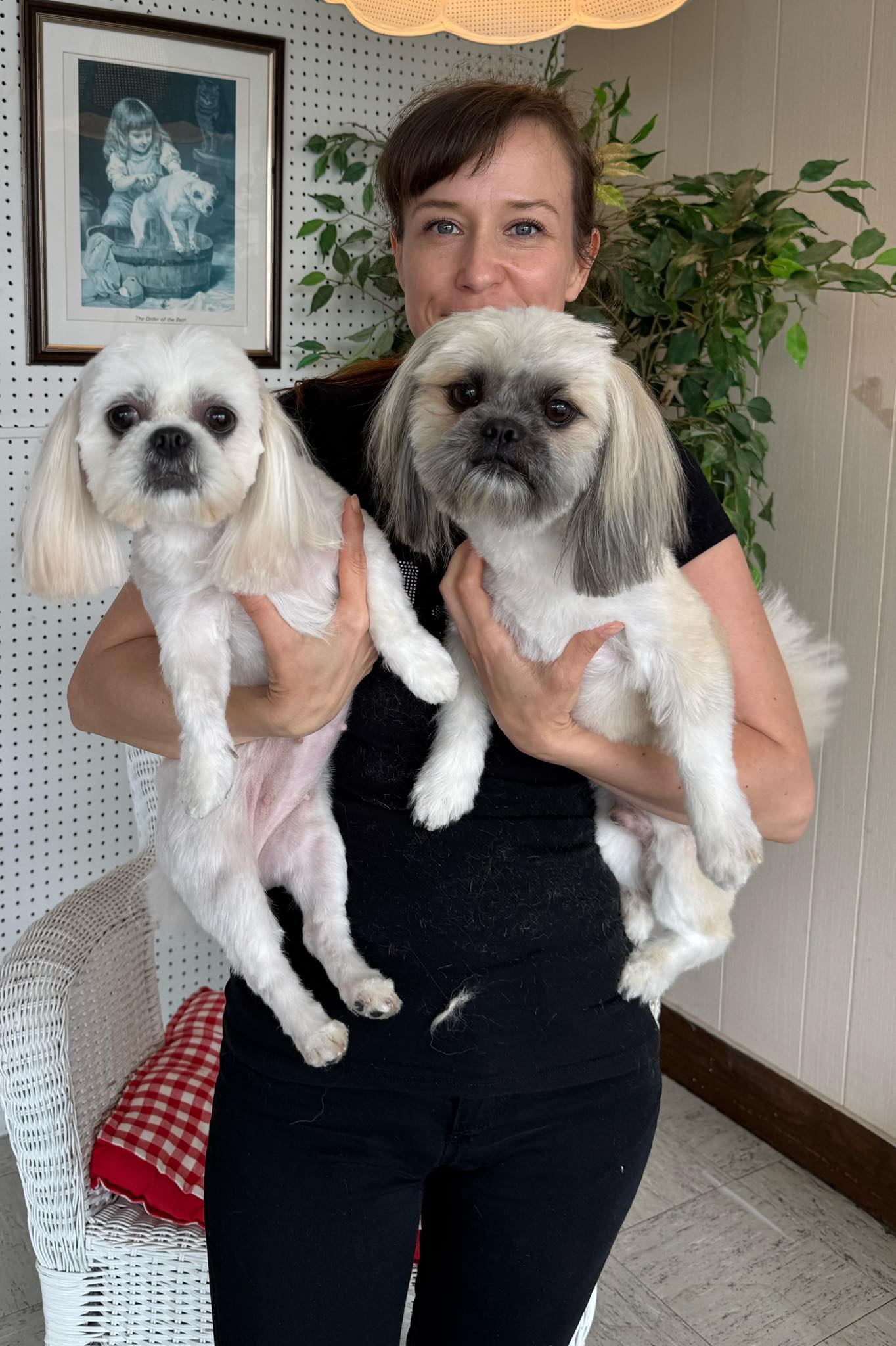 The Dog House (Grooming Gals) Winchester