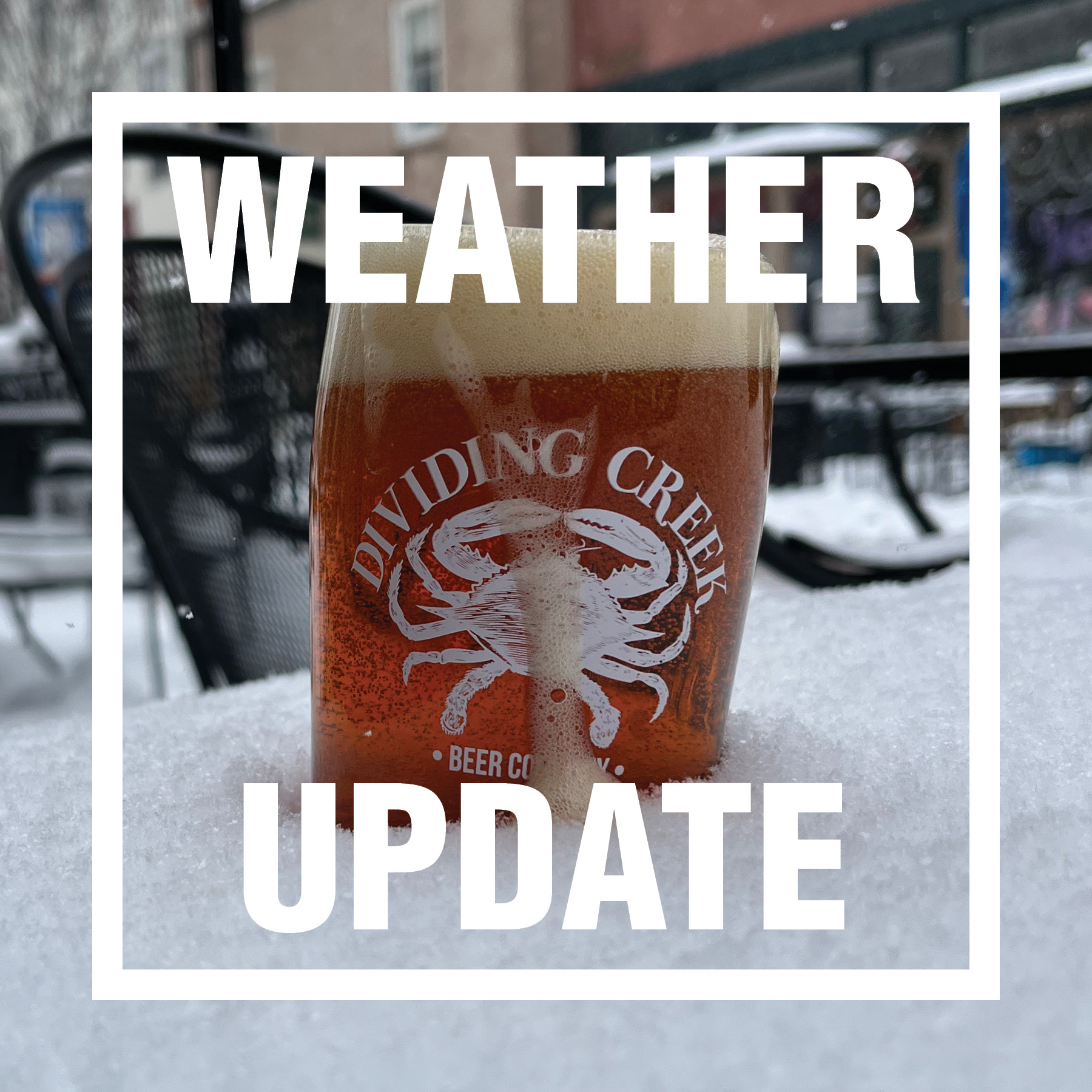 Dividing Creek Beer Co Winchester