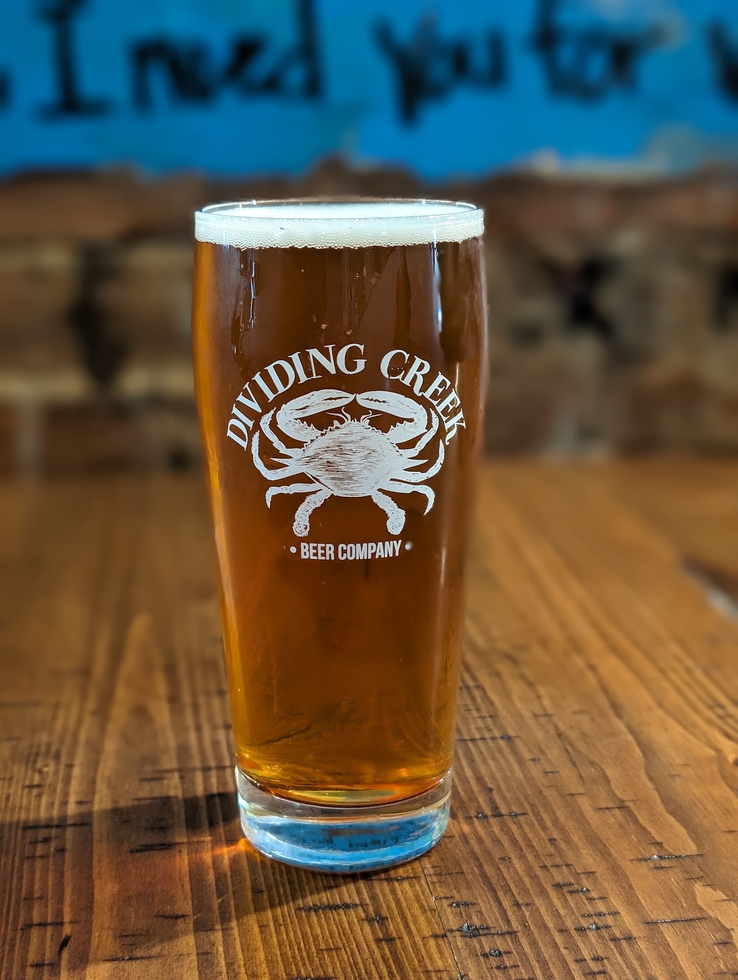 Dividing Creek Beer Co Winchester