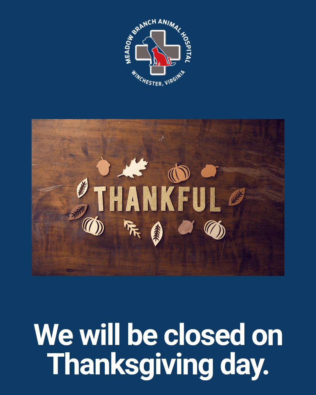 Meadow Branch Animal Hospital Winchester