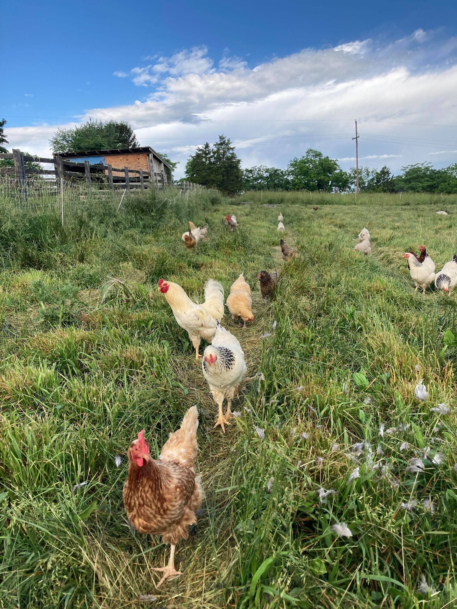 Skyview Acres Winchester