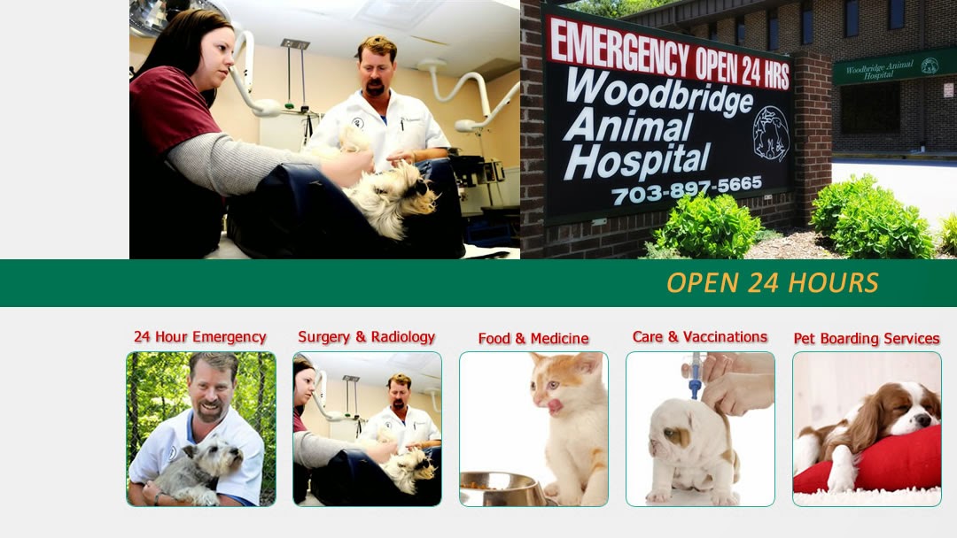 VCA Woodbridge Animal Hospital Woodbridge