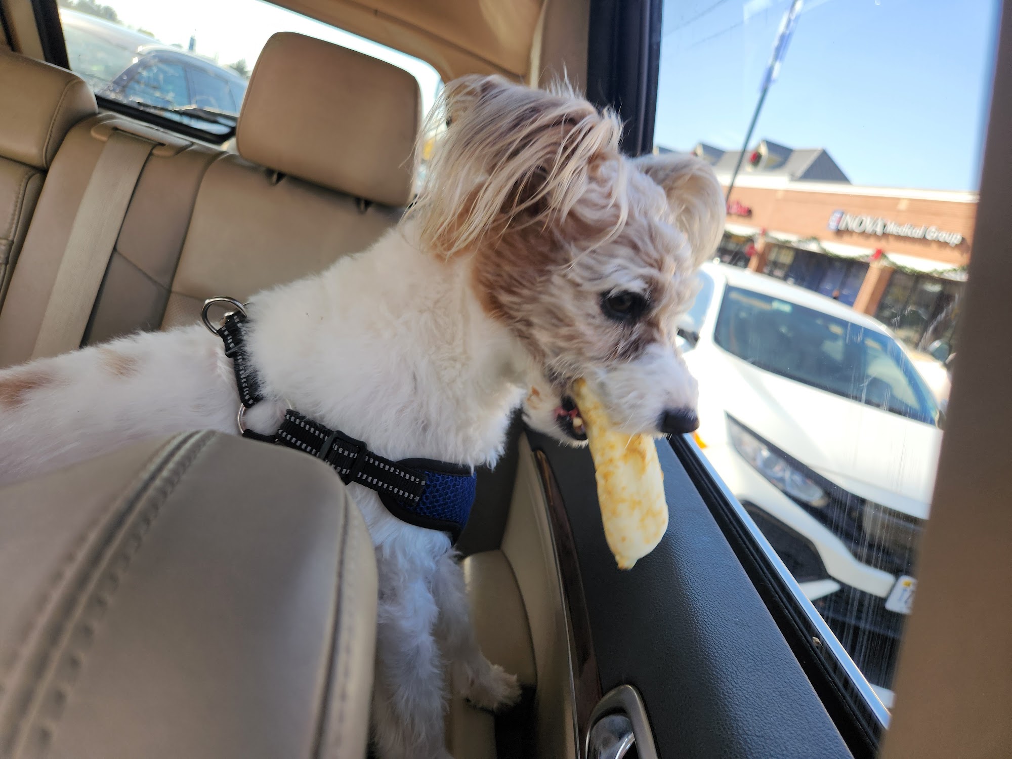 Pet Nutrition Center Woodbridge