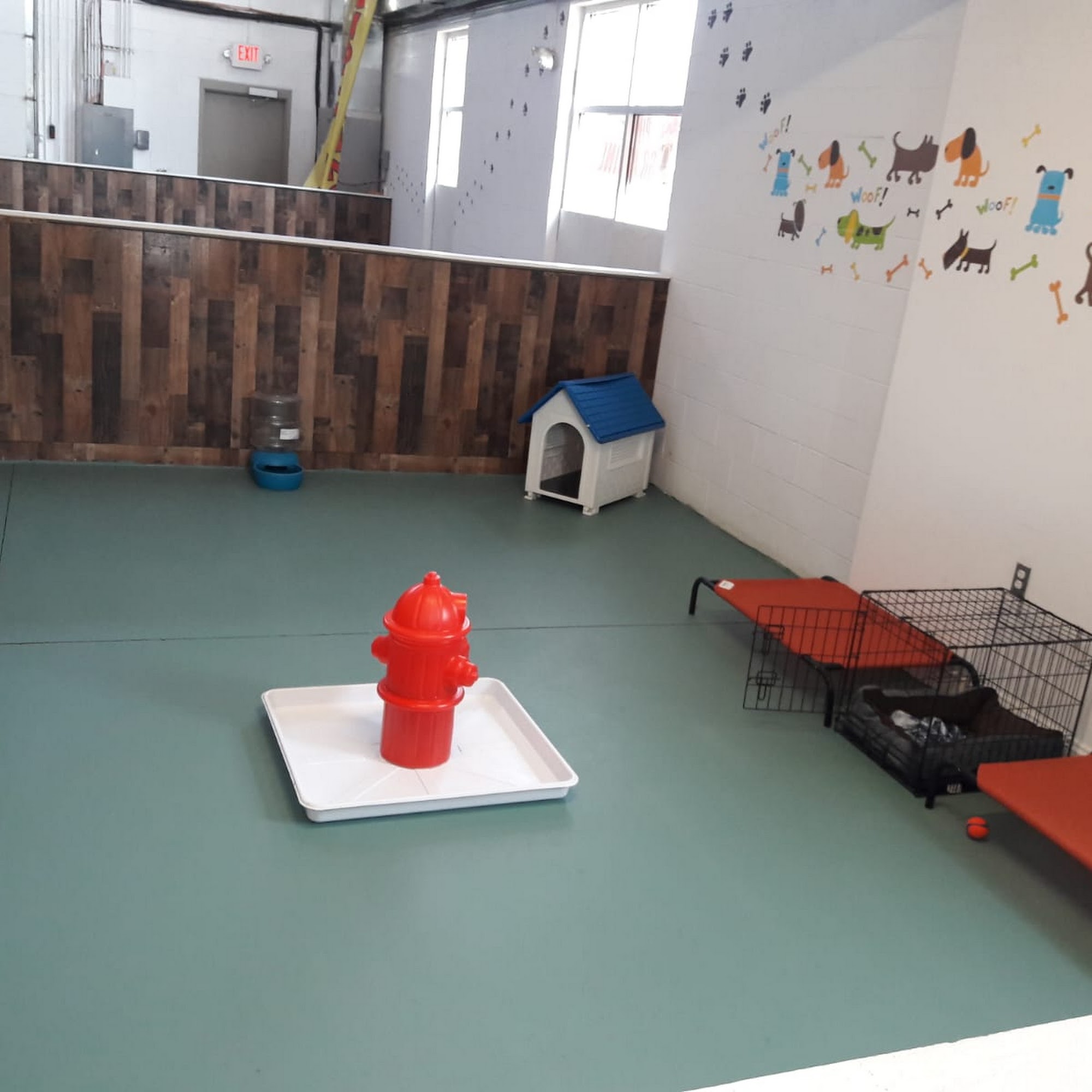 Mr Woof Dog Care Woodbridge