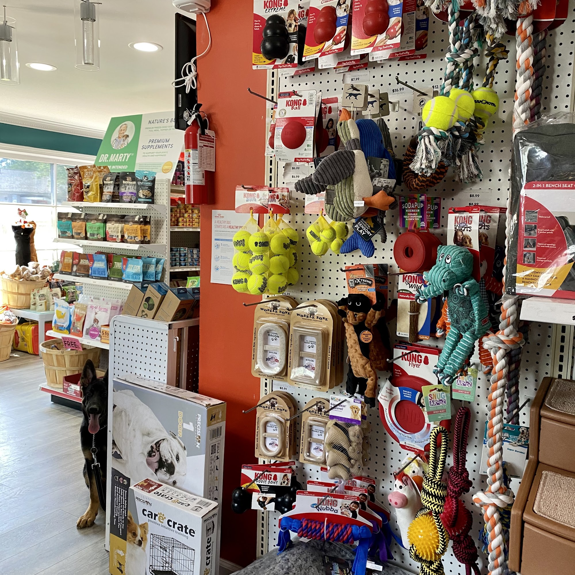 Junction Pet Supplies