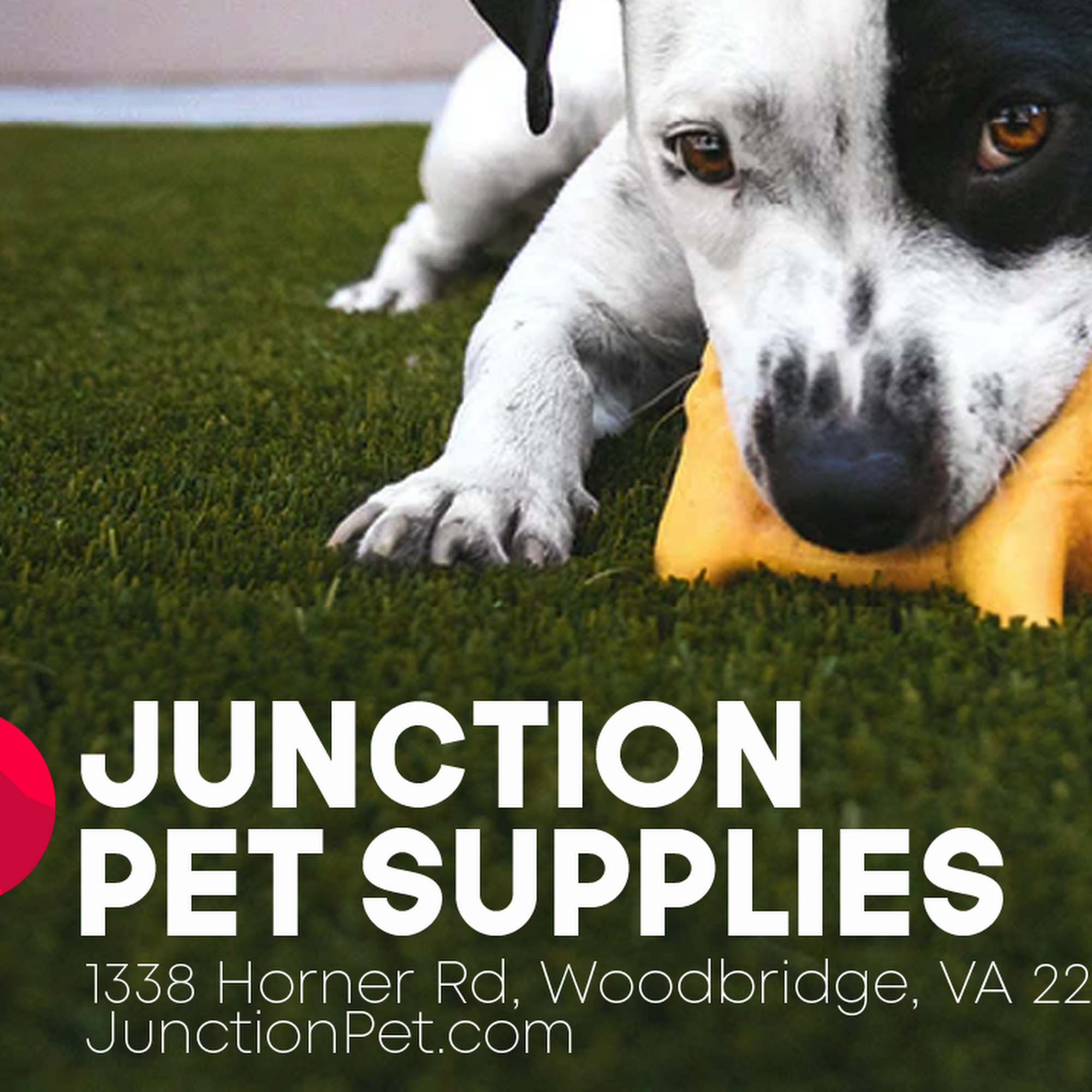 Junction Pet Supplies Woodbridge