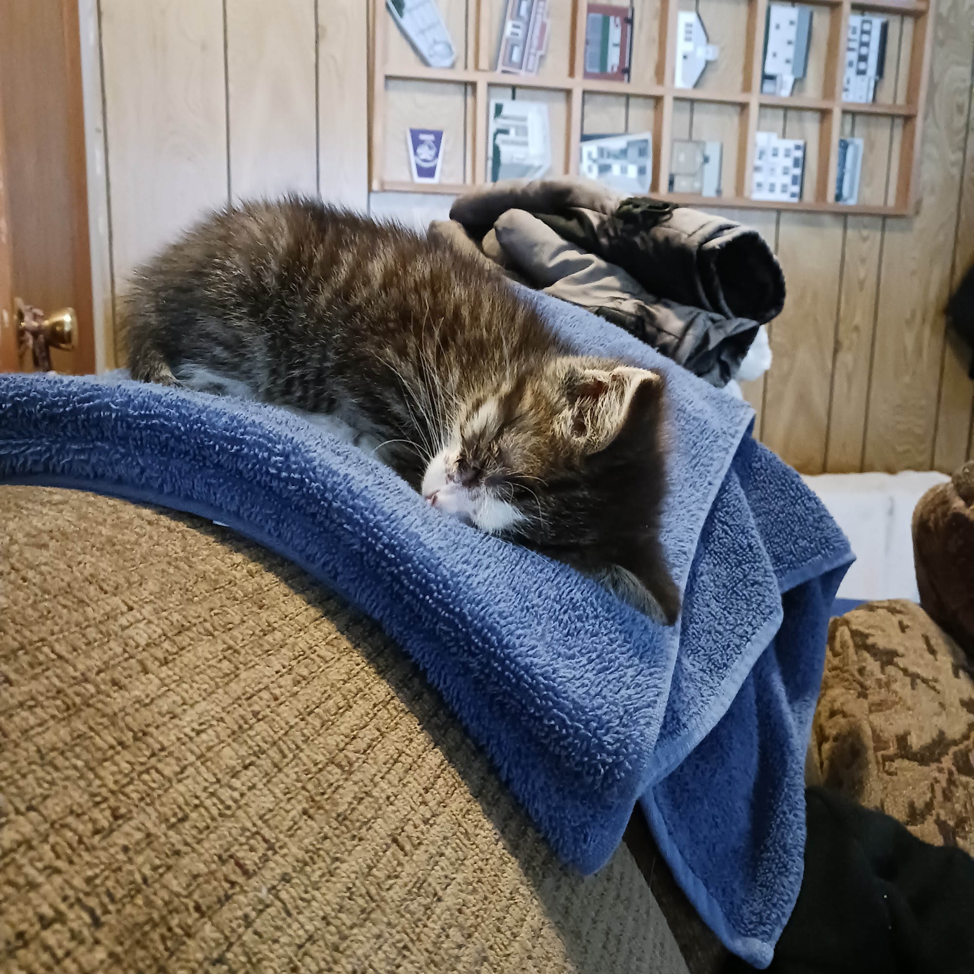 Seven Bends Veterinary Hospital Woodstock