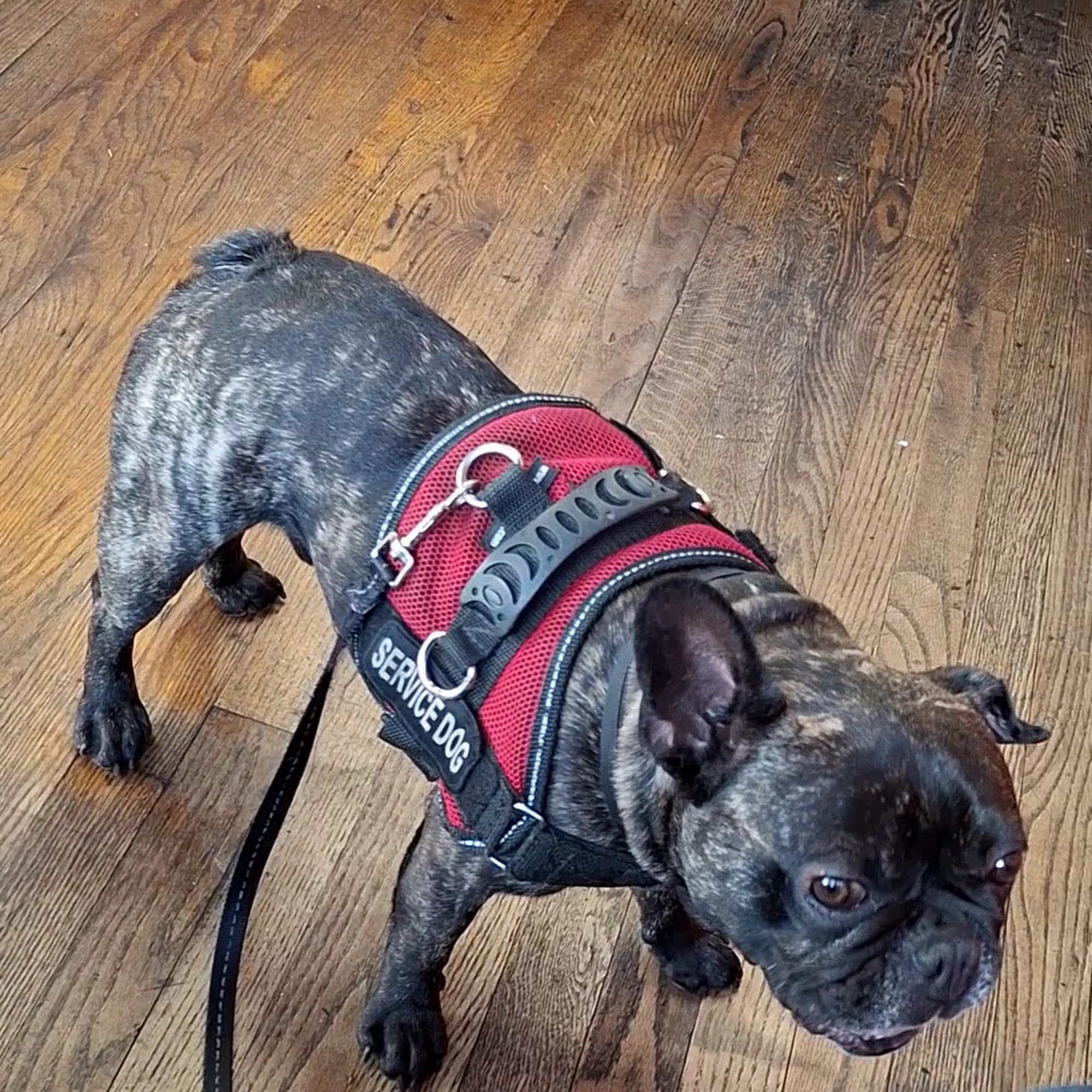 Skeeter's Wytheville