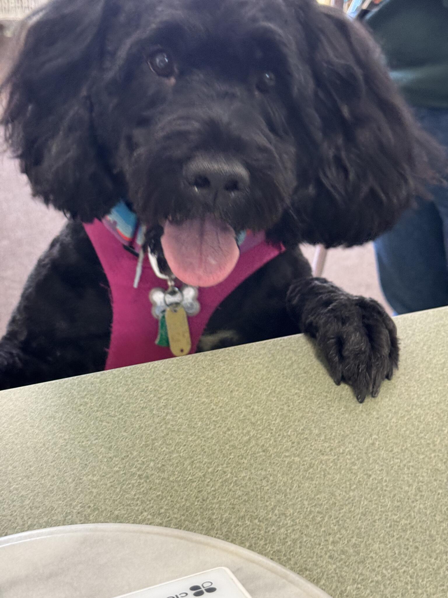 Photo credit: nextdoor