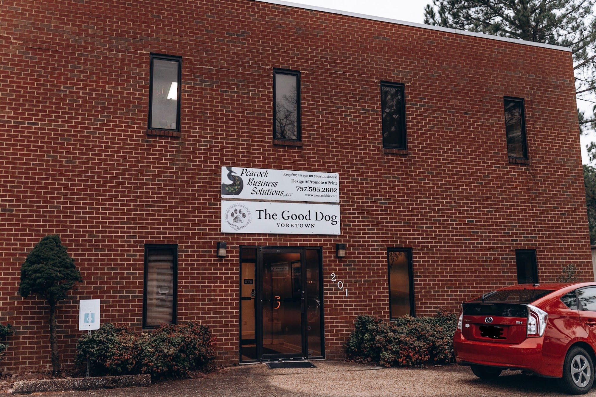 The Good Dog Yorktown Yorktown