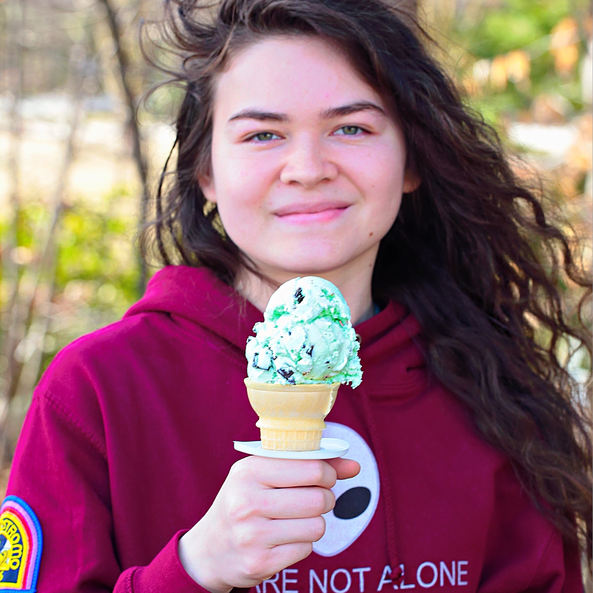 Donutz On A Stick Ice Cream and Grill Yorktown