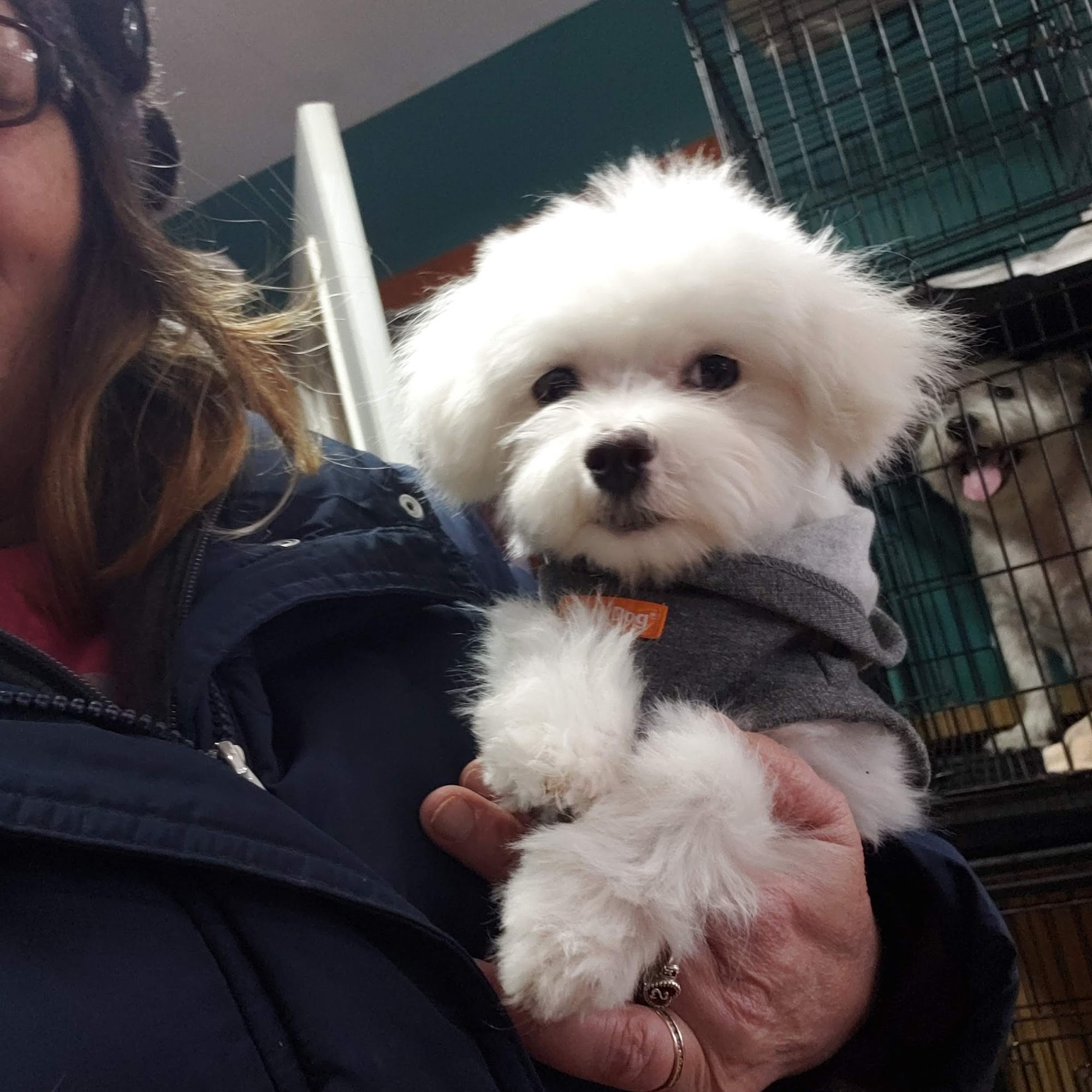 4 Paws Day Spa Barre