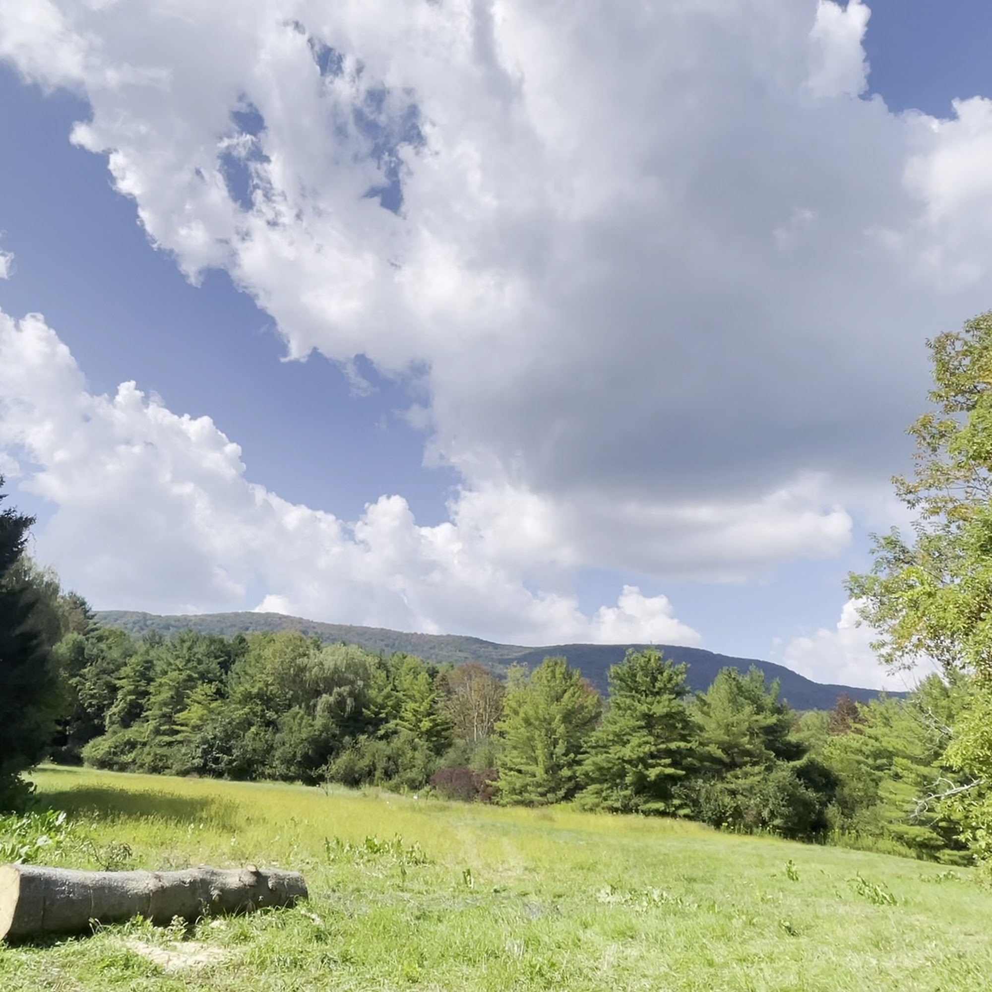 Southern VT Equine Veterinary Bennington