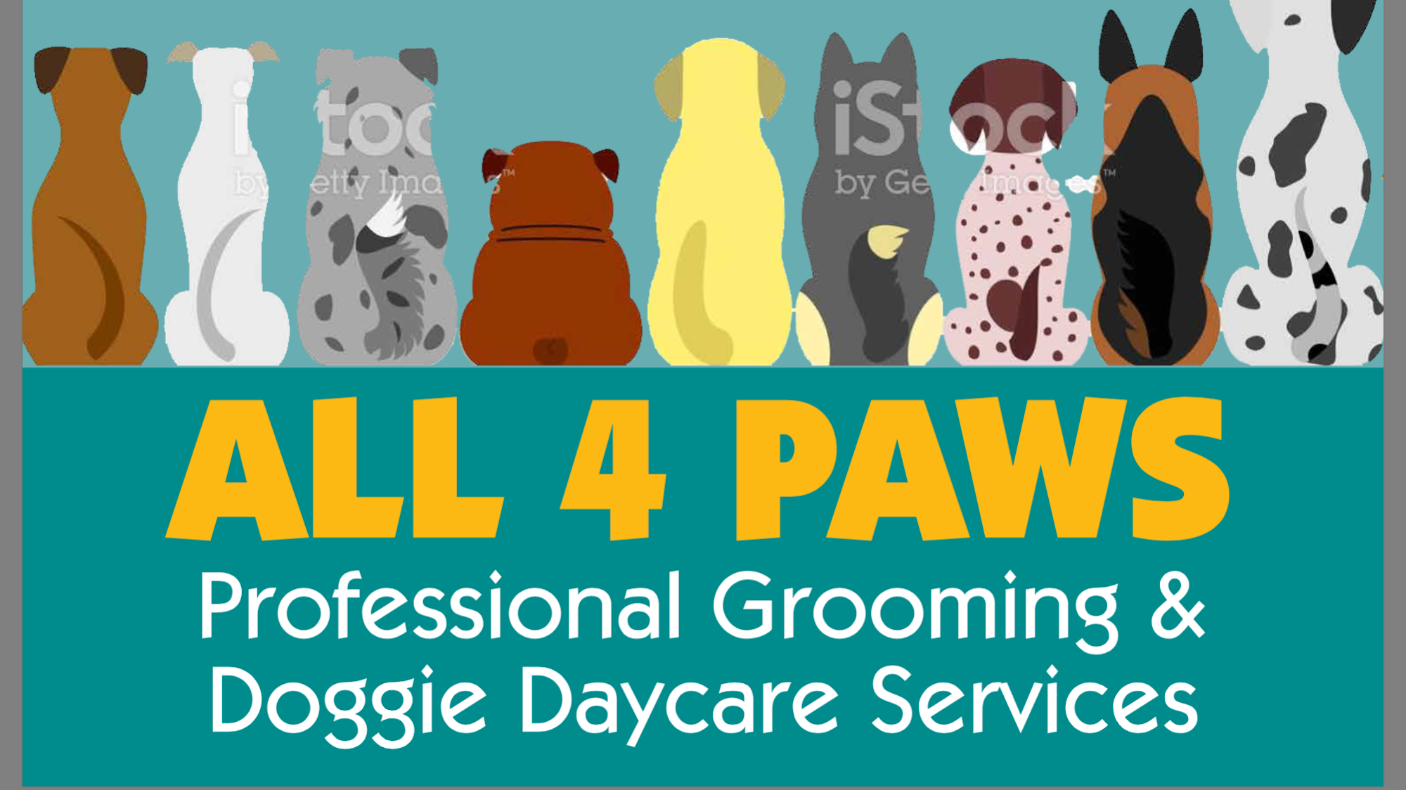 All 4 Paws Bennington