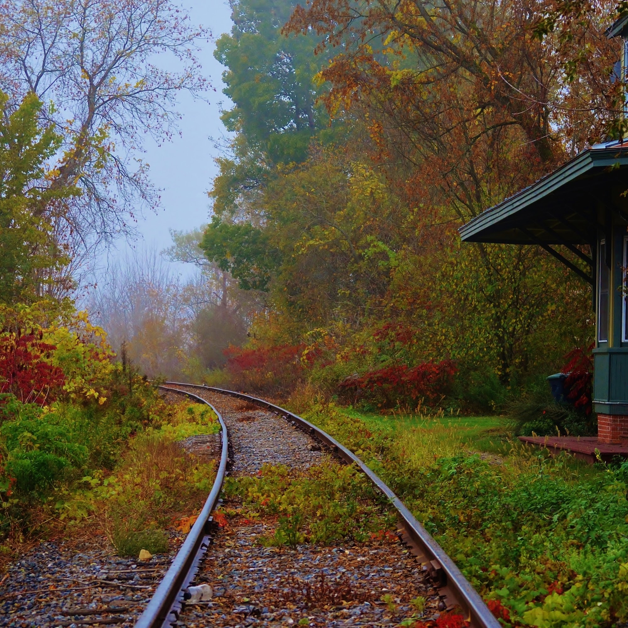 Oxbow Veterinary Clinic Bradford