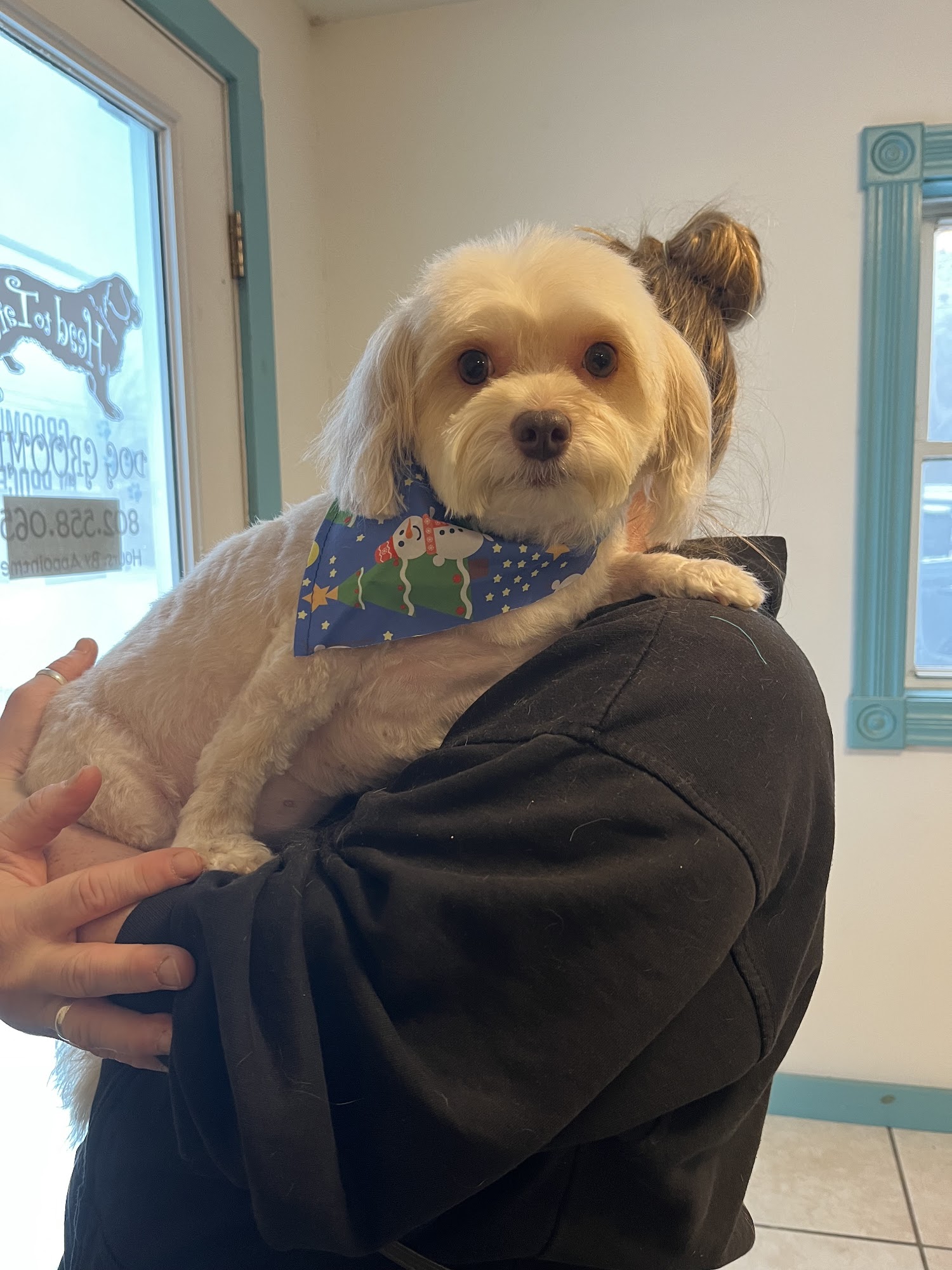 Head To Tail Dog Grooming